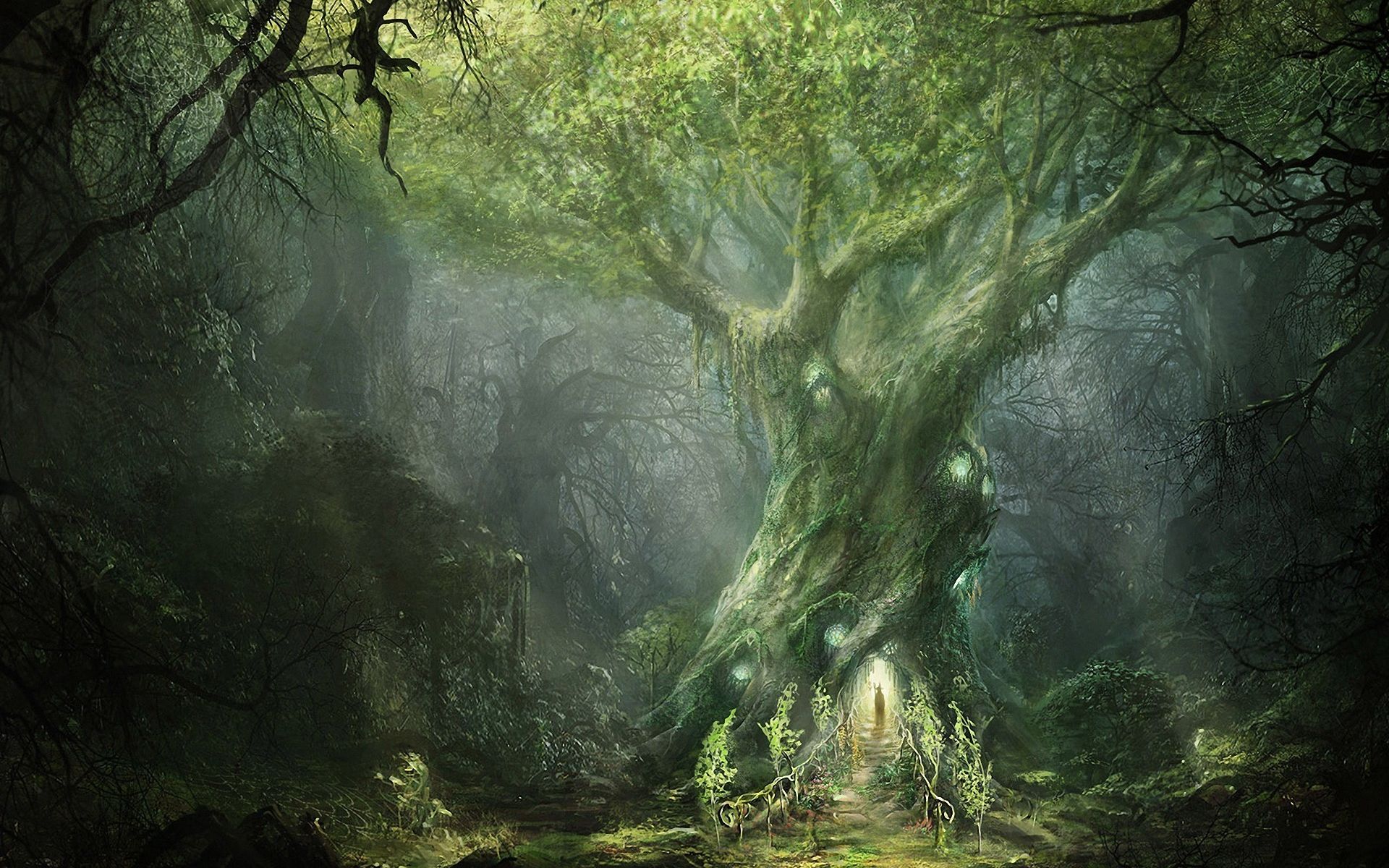 Download Fantasy Forest HD Wallpaper