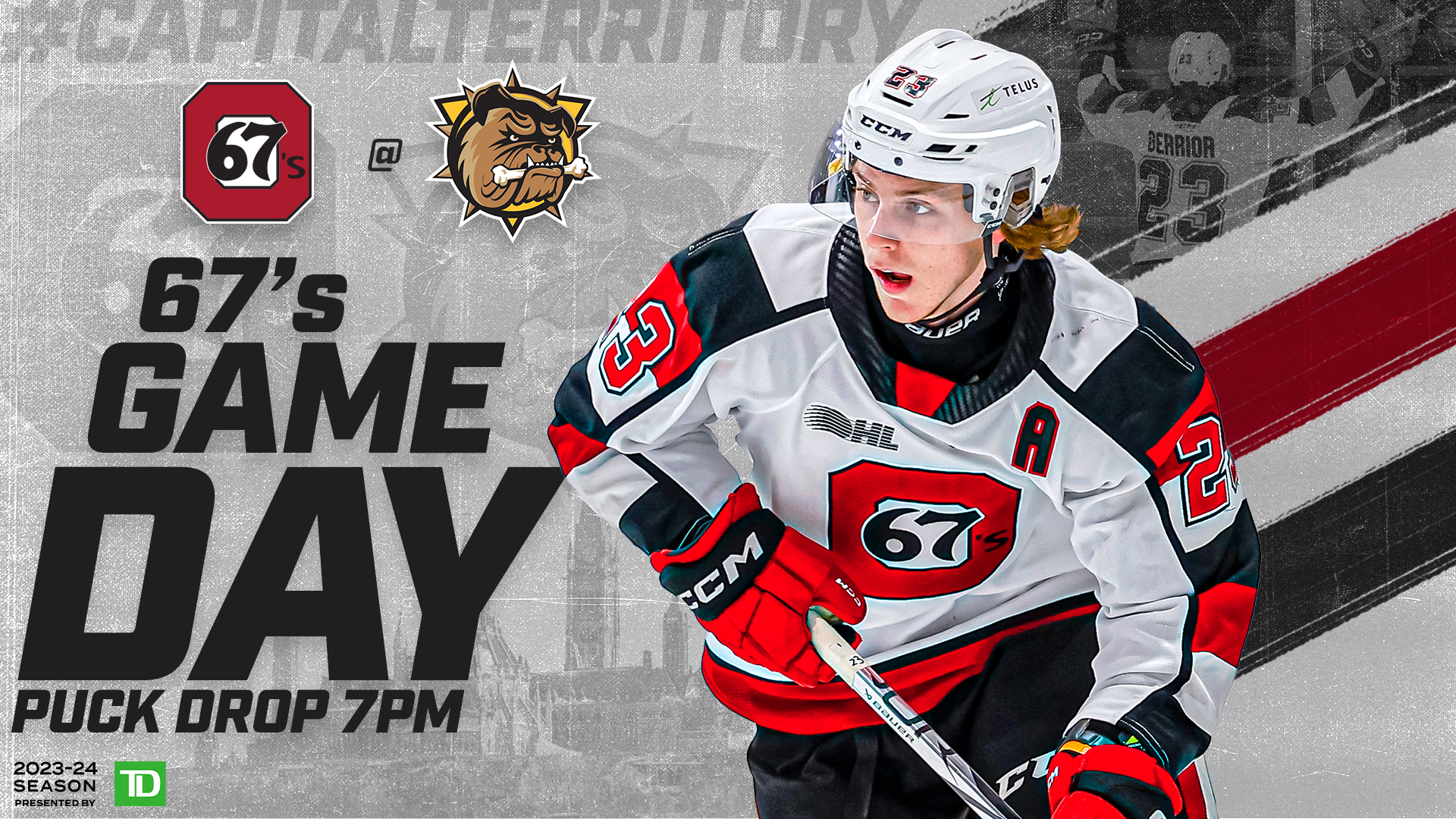 battle Bulldogs in Brantford