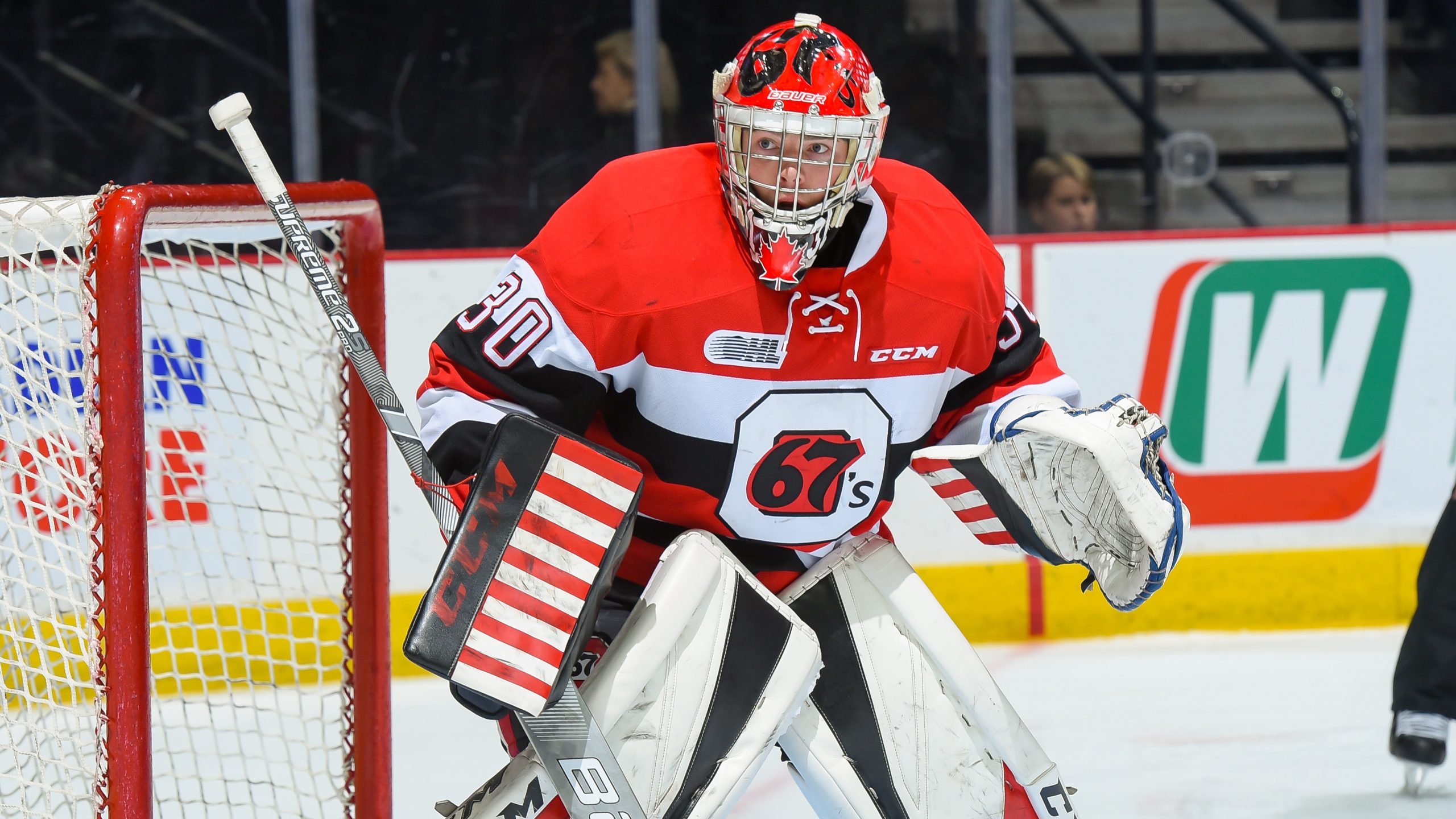 67's in good hands despite DiPietro injury