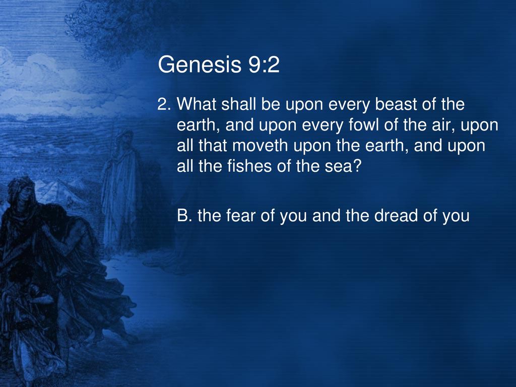 Genesis Chapter Nine Questions