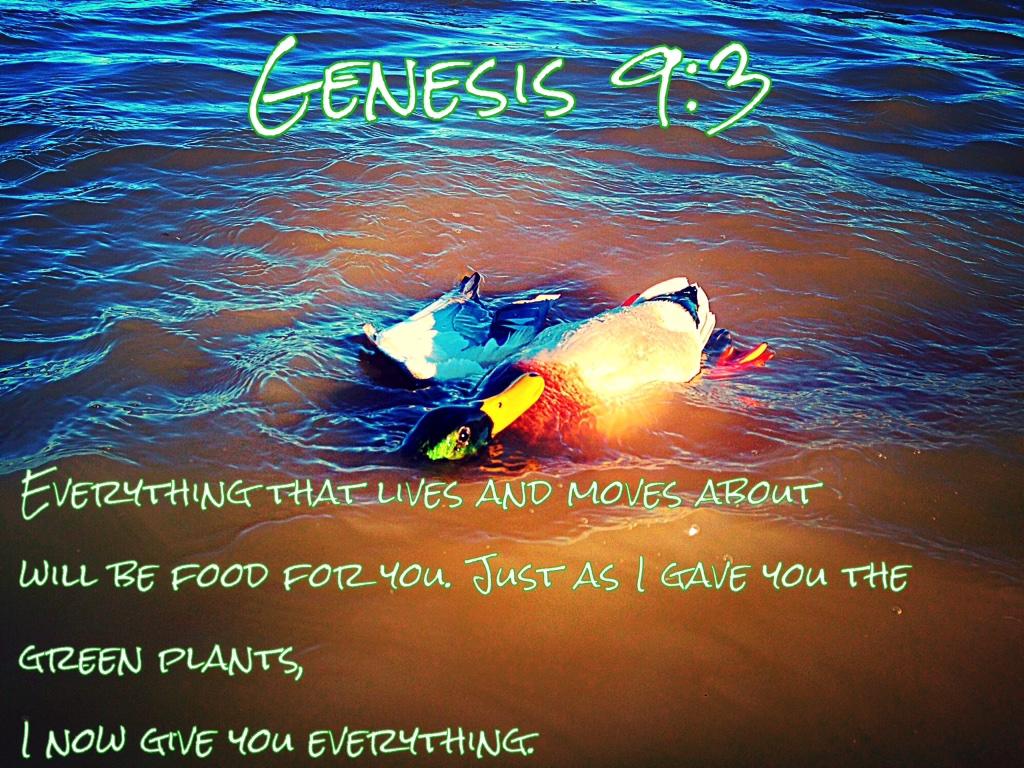 blessed #Ducks #DuckDog #hunting