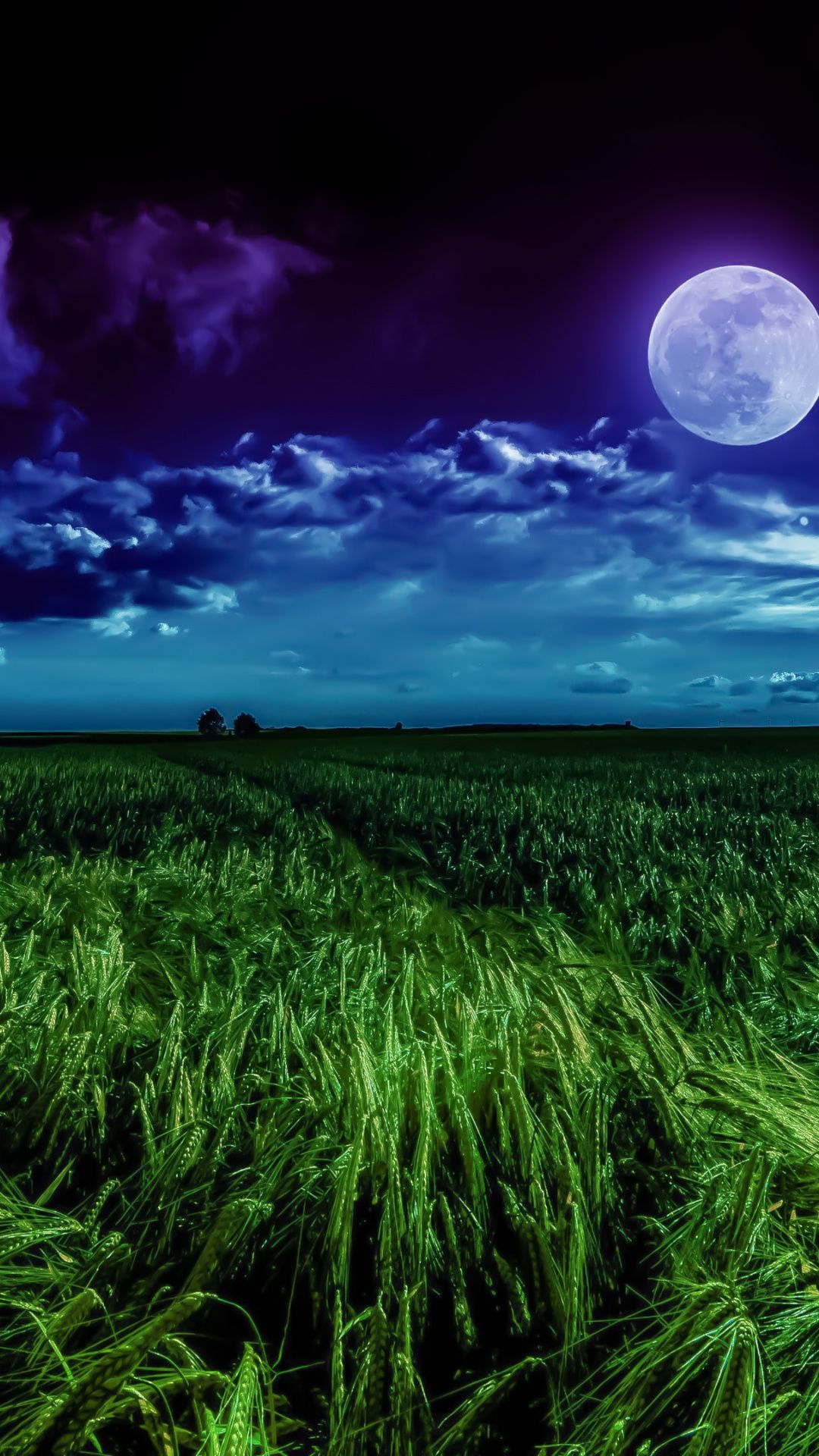 Night, clouds, grass field, full moon