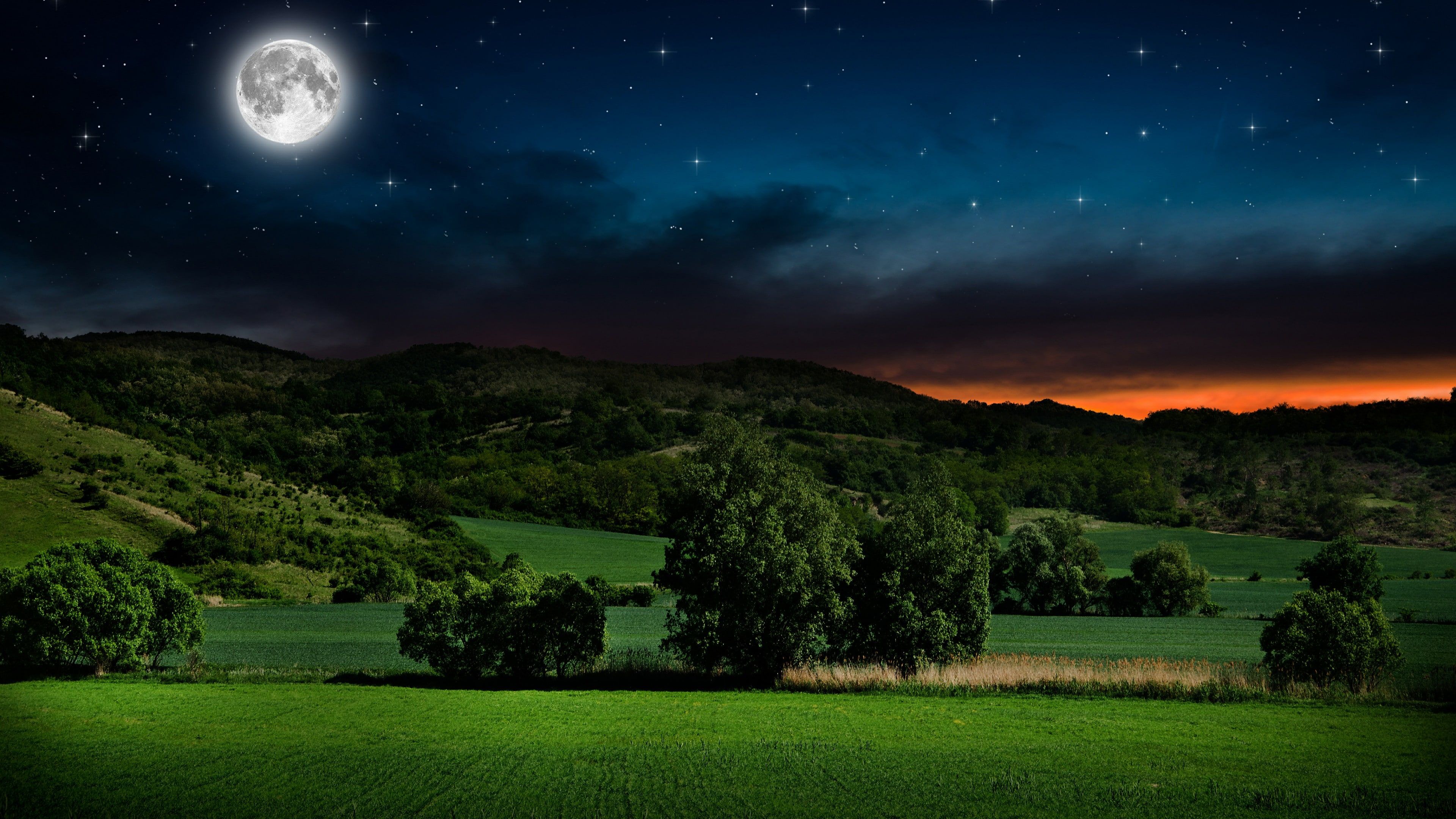 sky #nature full moon #grassland #night