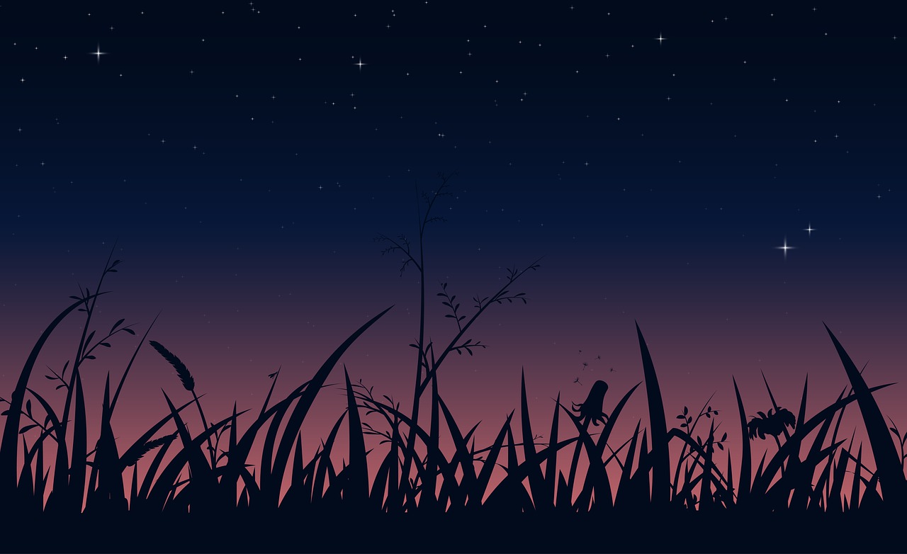 Download Night, Grass, Meadow. Royalty