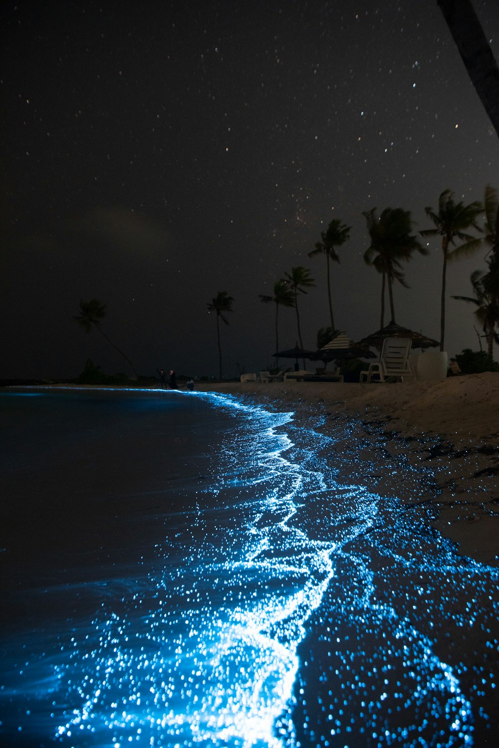 A beach that has some blue lights on it