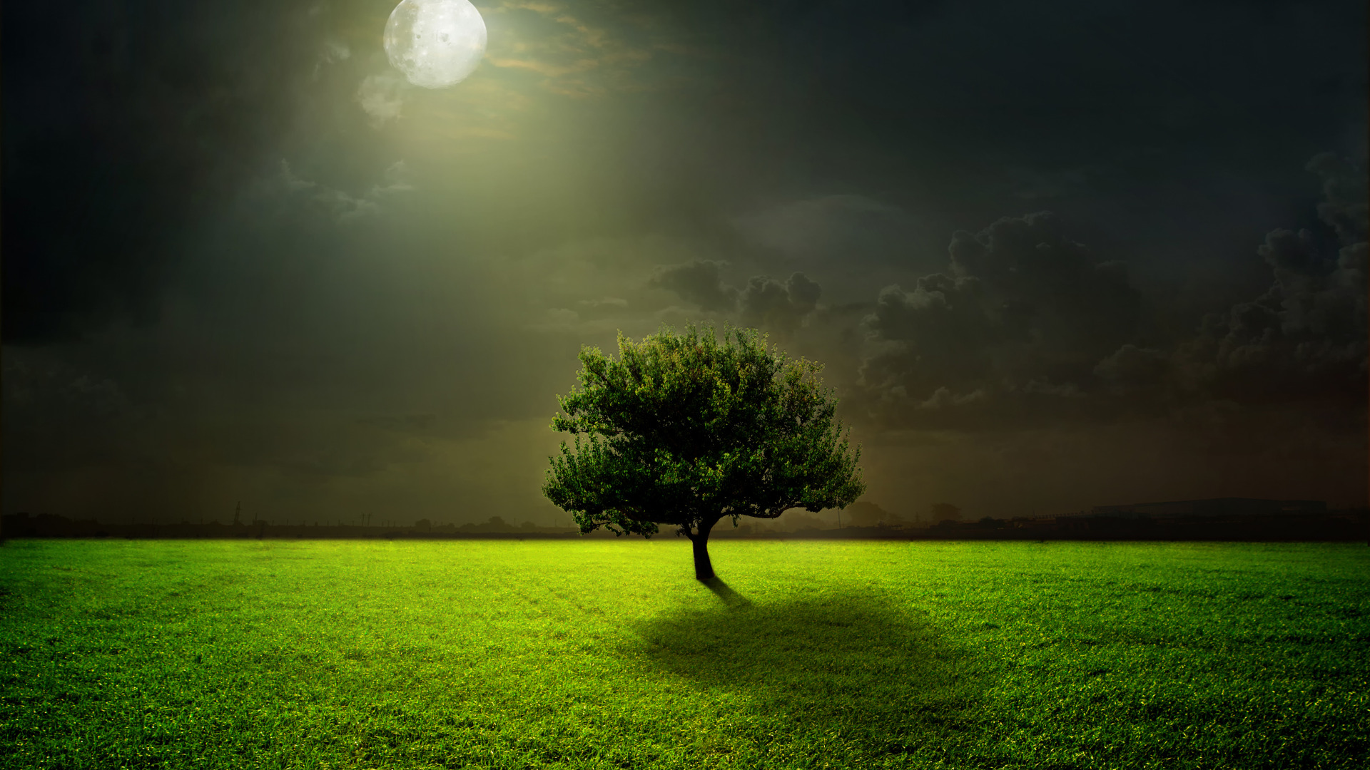moon, grass, sky, field, night, clouds