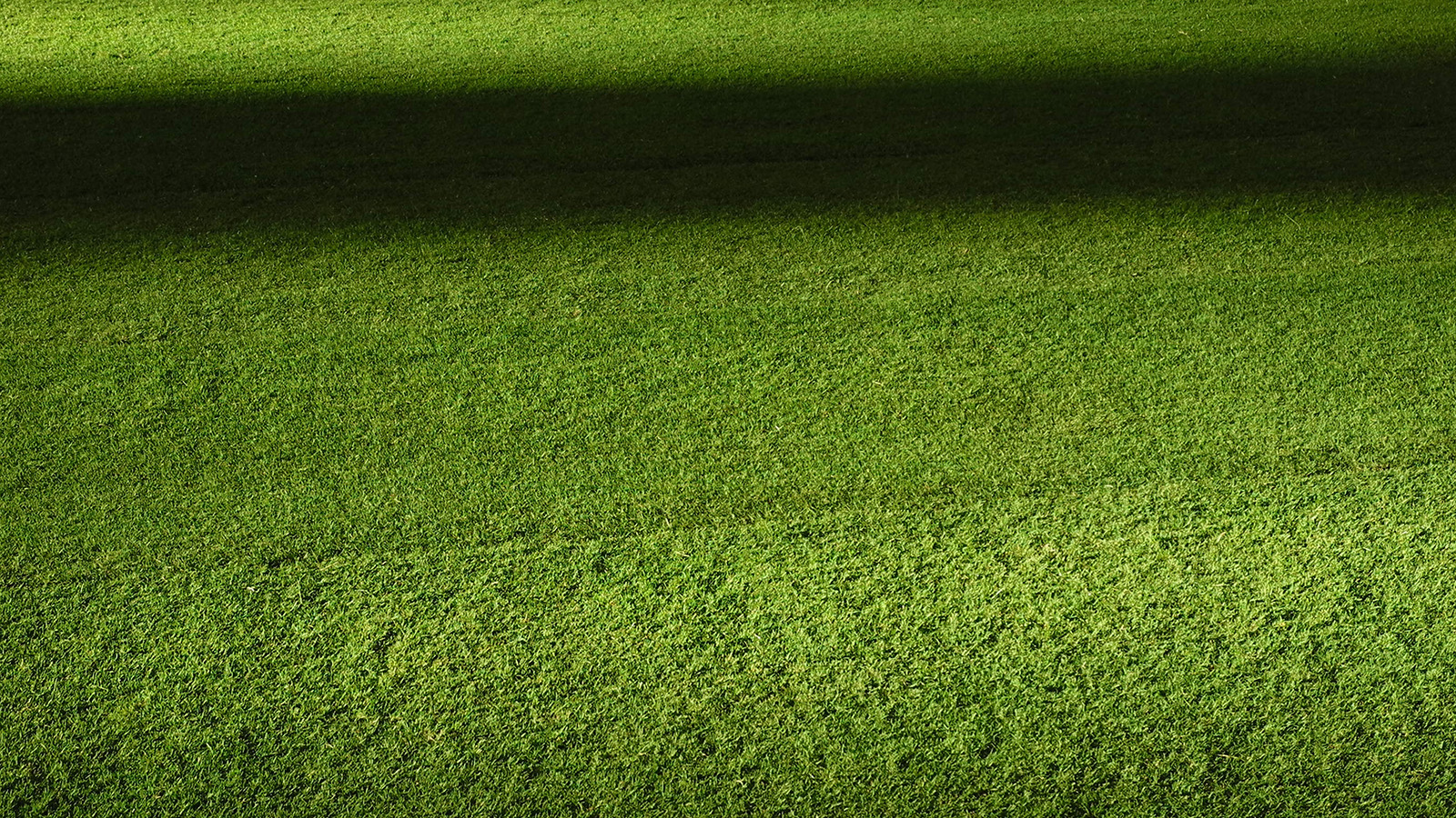 Field Green Night Grass Pattern