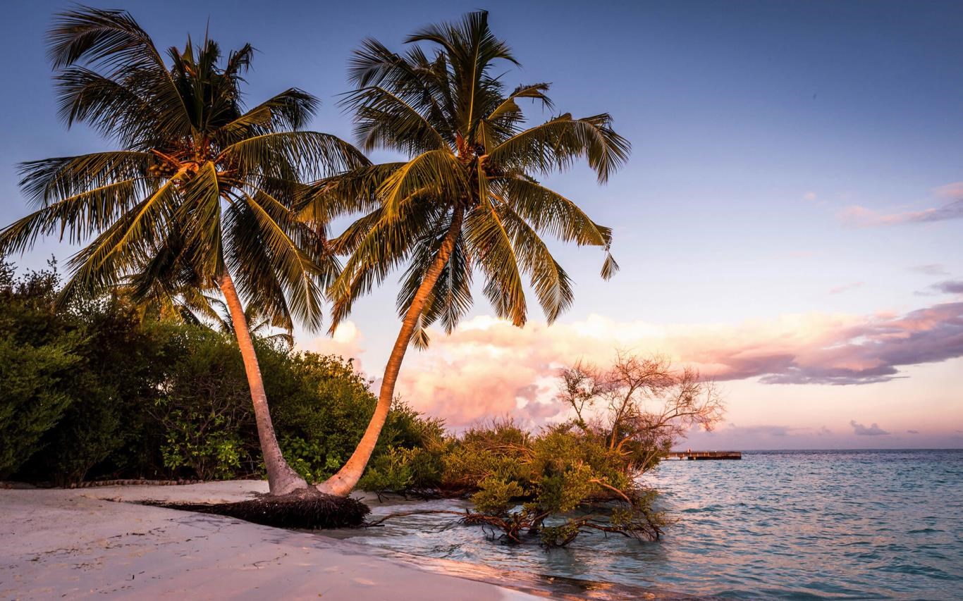 Beach Glow download and install