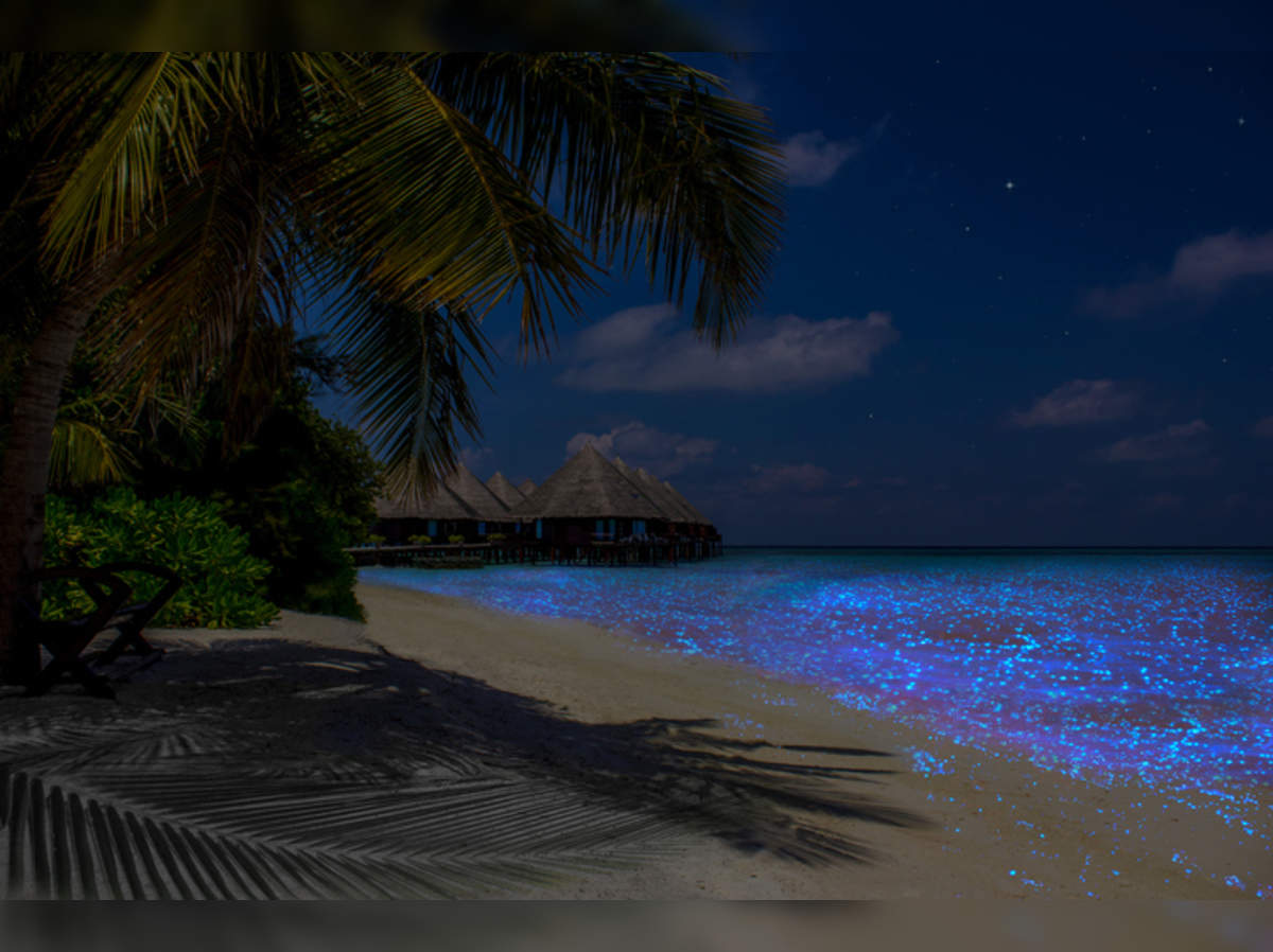 The gorgeous glowing beach of Maldives