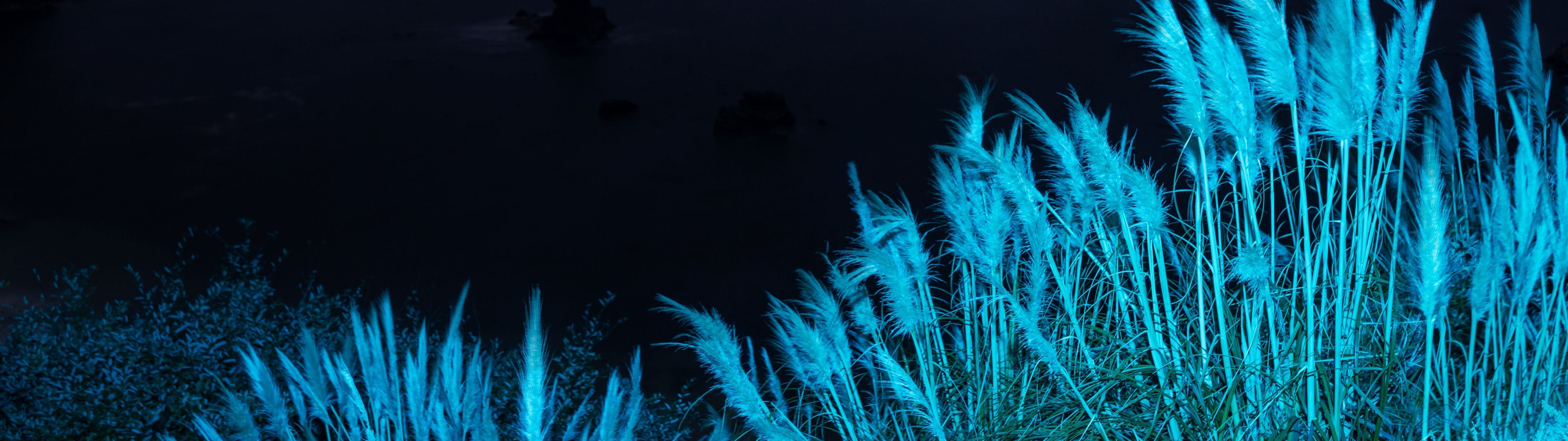 macOS Big Sur Wallpaper 4K, Infrared