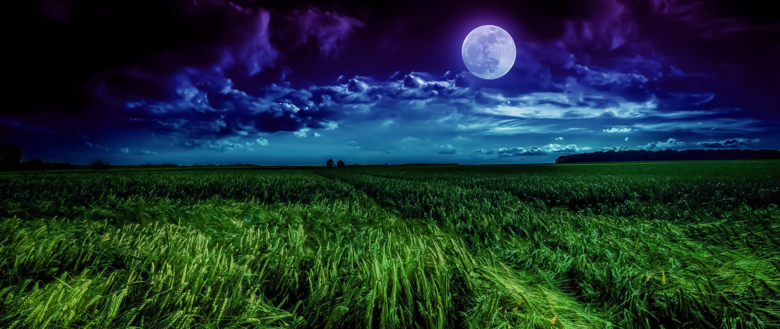 wallpaper 2560x1080 grass field