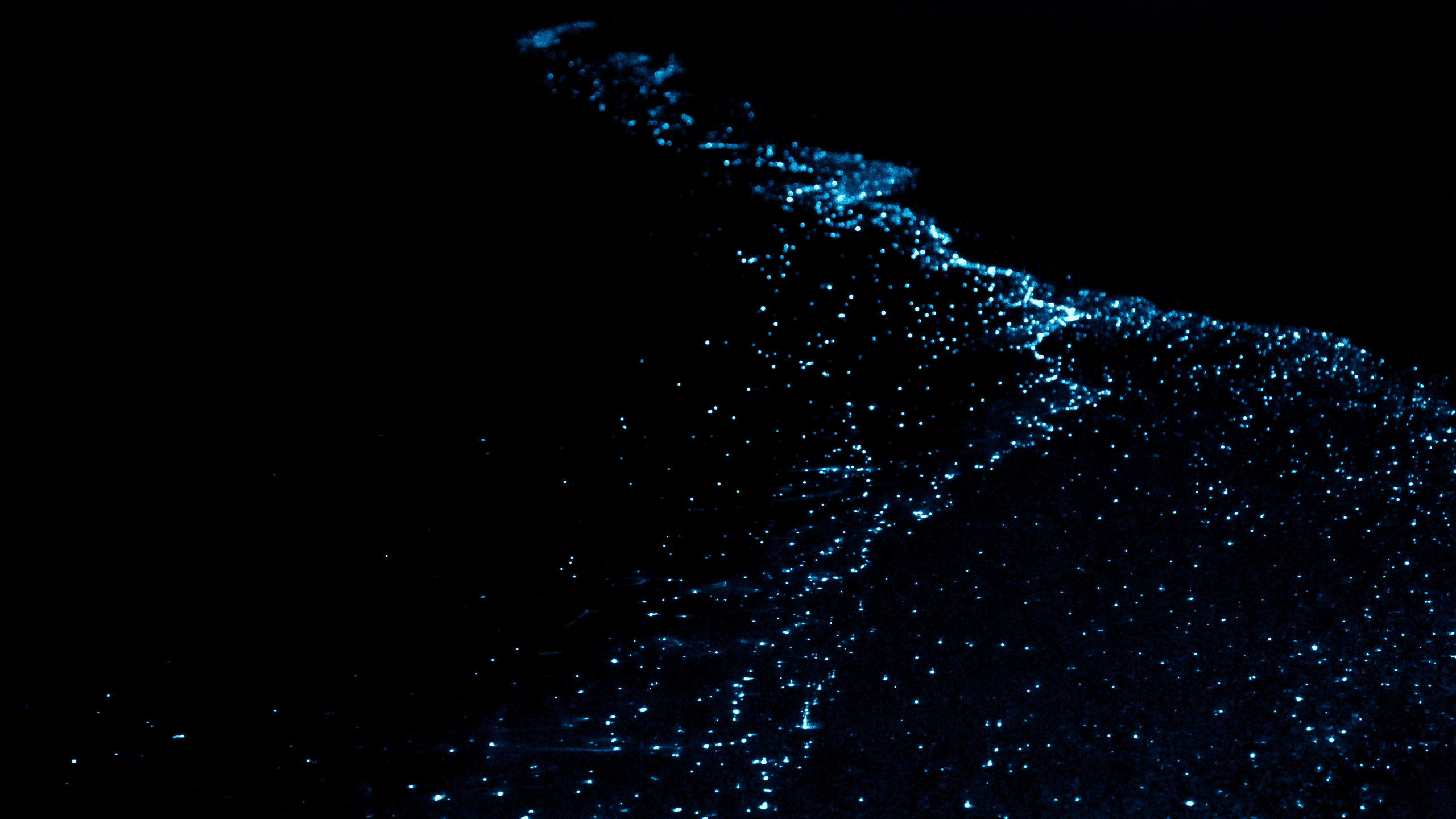 Maldives' Glowing Beaches