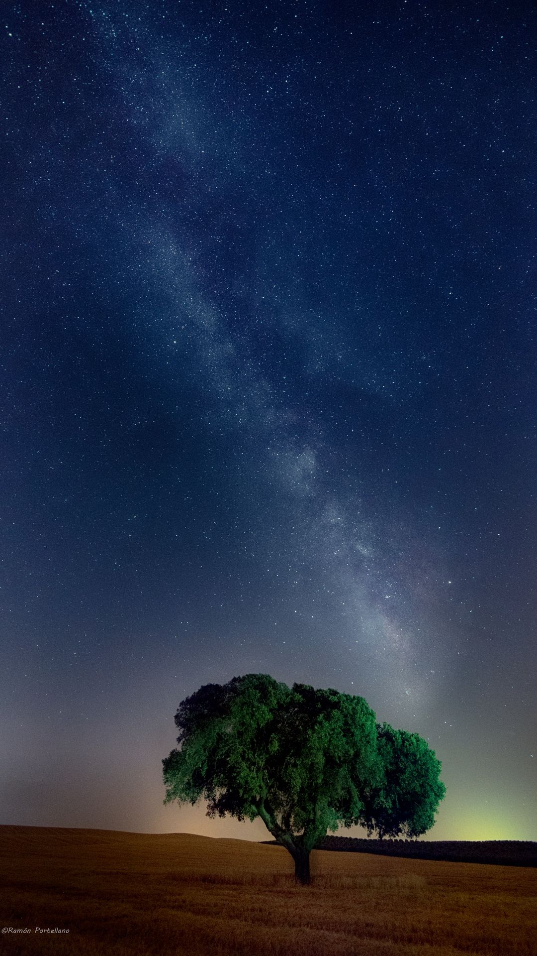 Tree, starry sky, field, night, grass