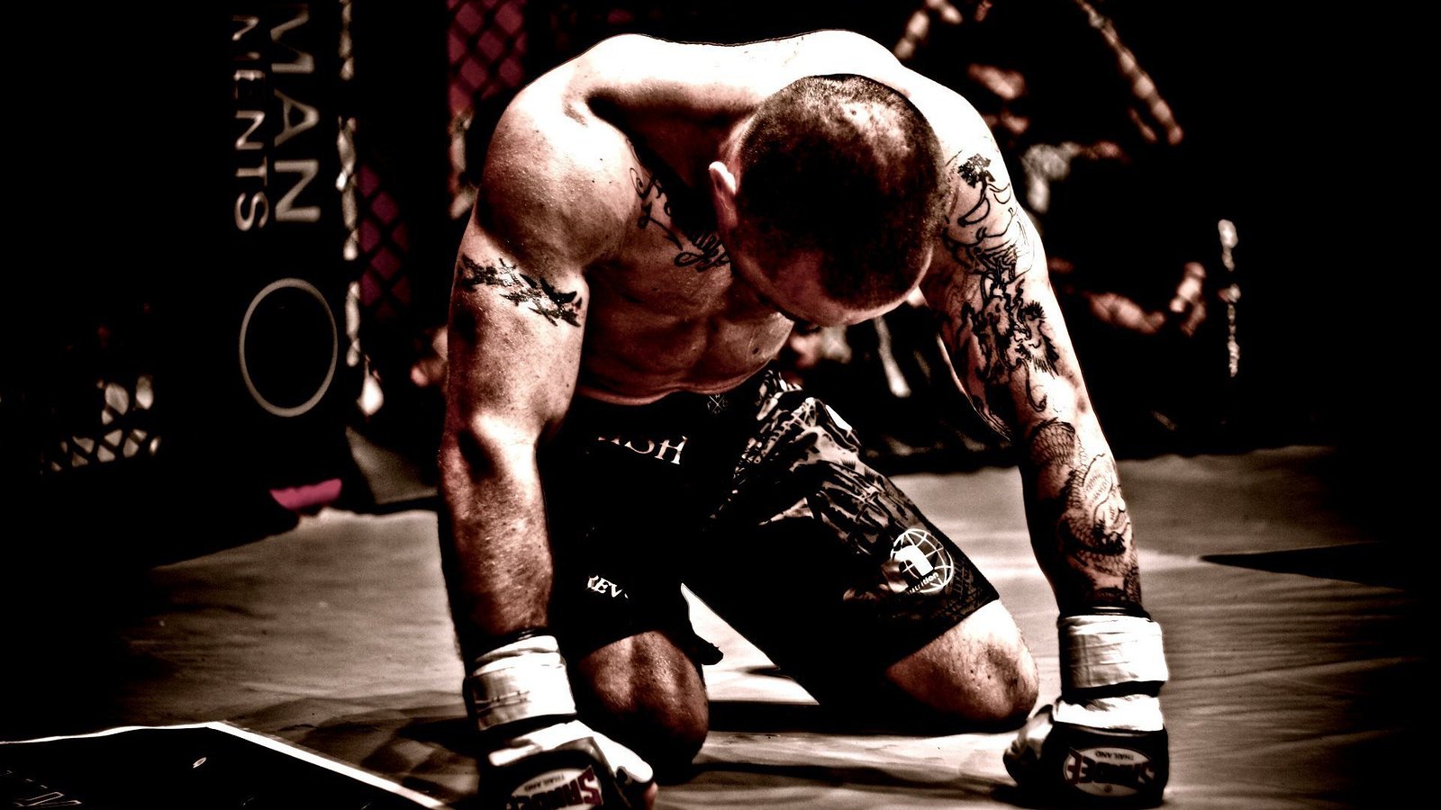 Mixed Martial Arts Fighter Men HD