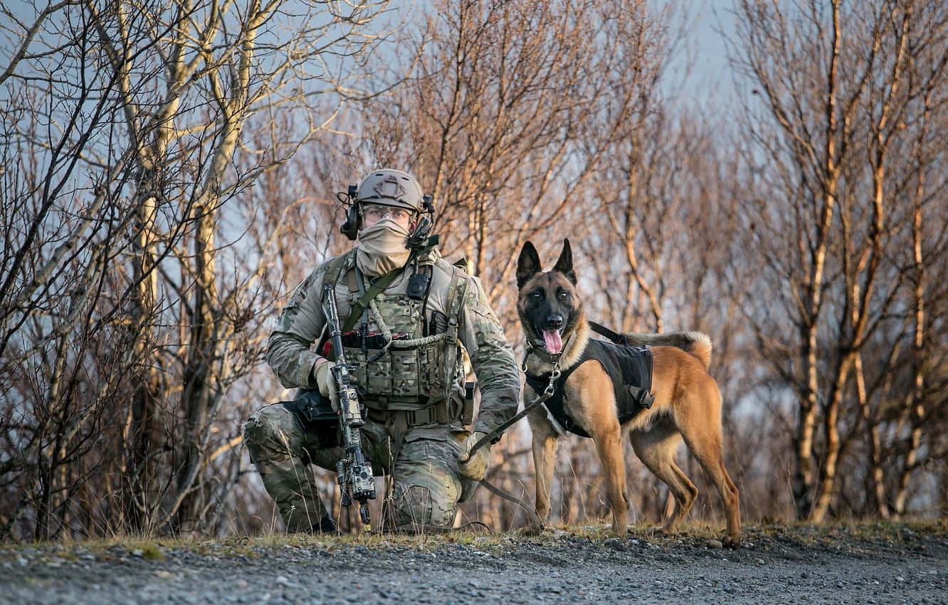Dedicated Army Dog At Service Wallpaper