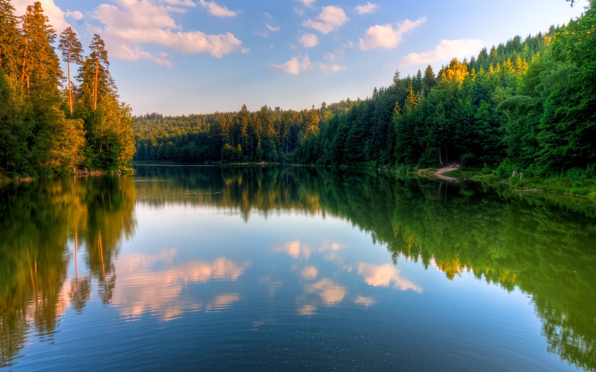 Calm River Forest Scenery HD Wallpaper