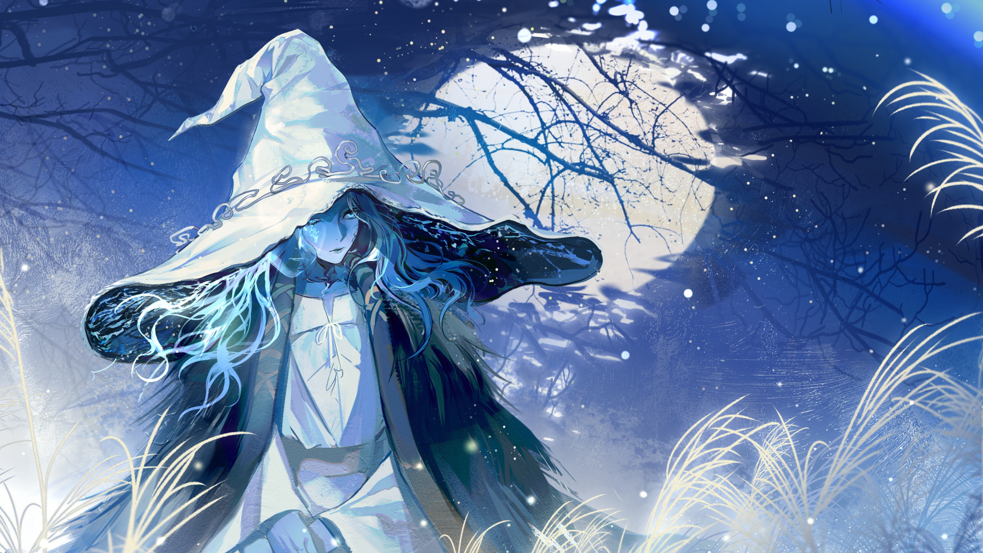 Elden Ring, Ranni The Witch