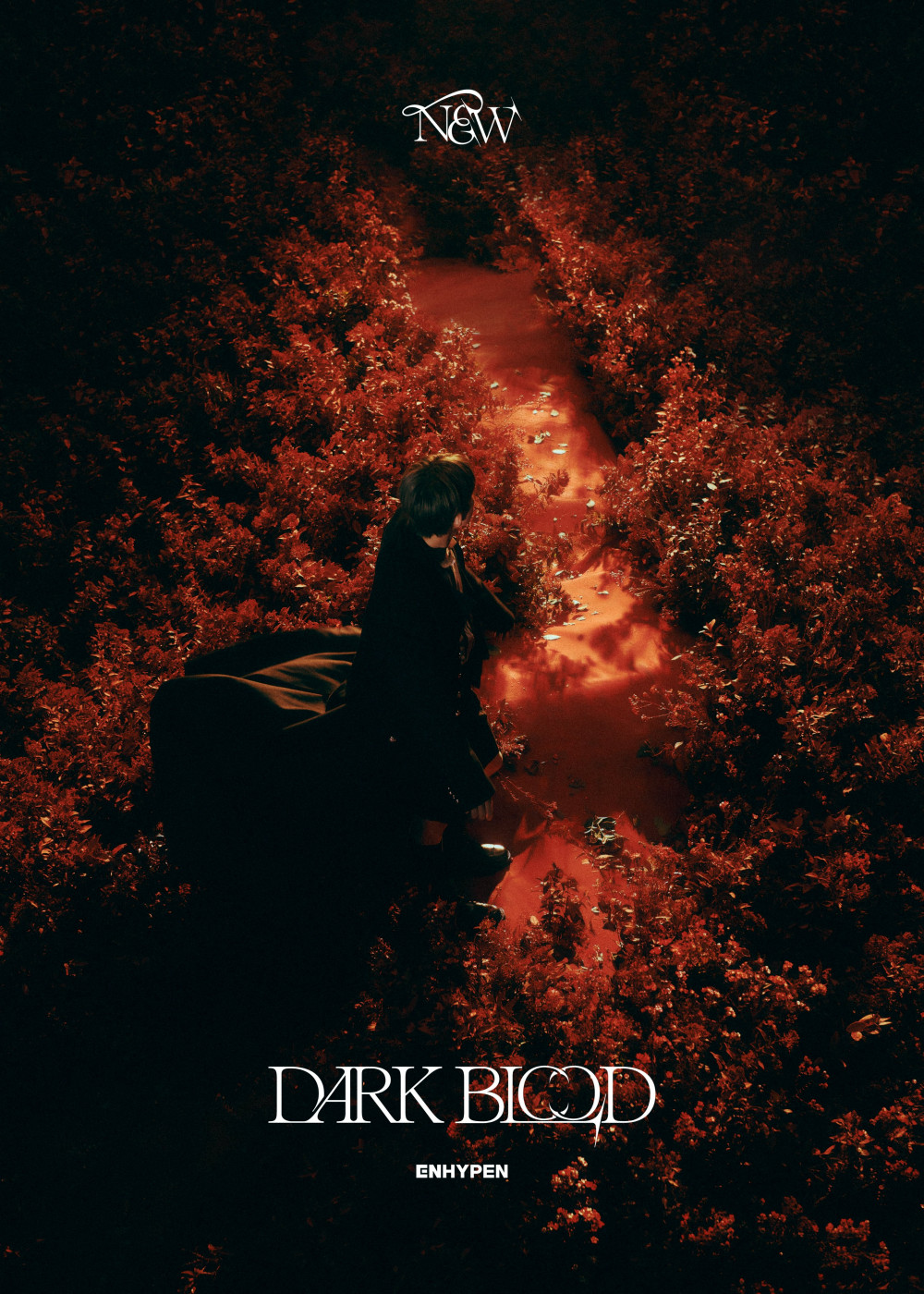 ENHYPEN reveal final mood board image