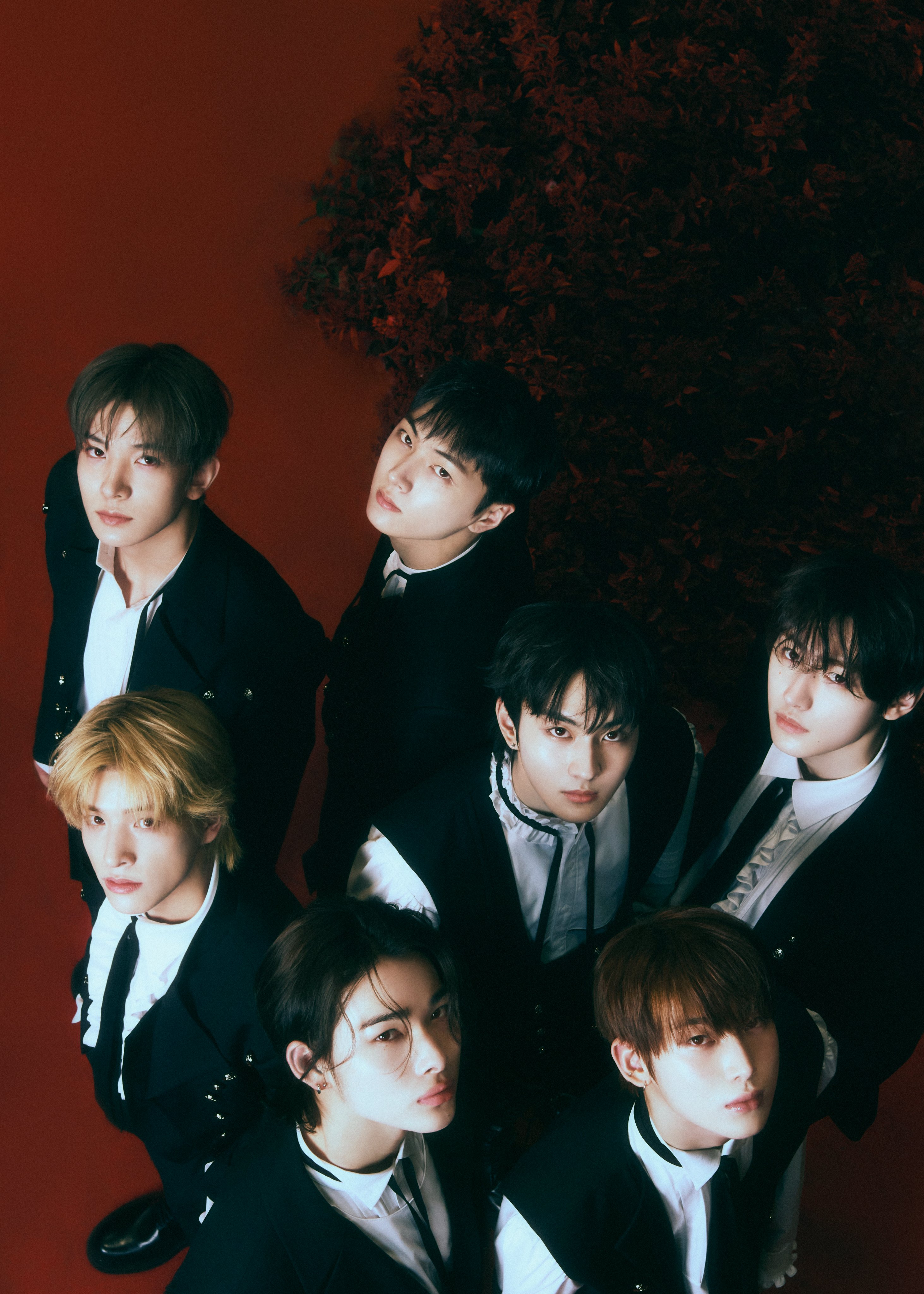 ENHYPEN <DARK BLOOD> Concept Photo