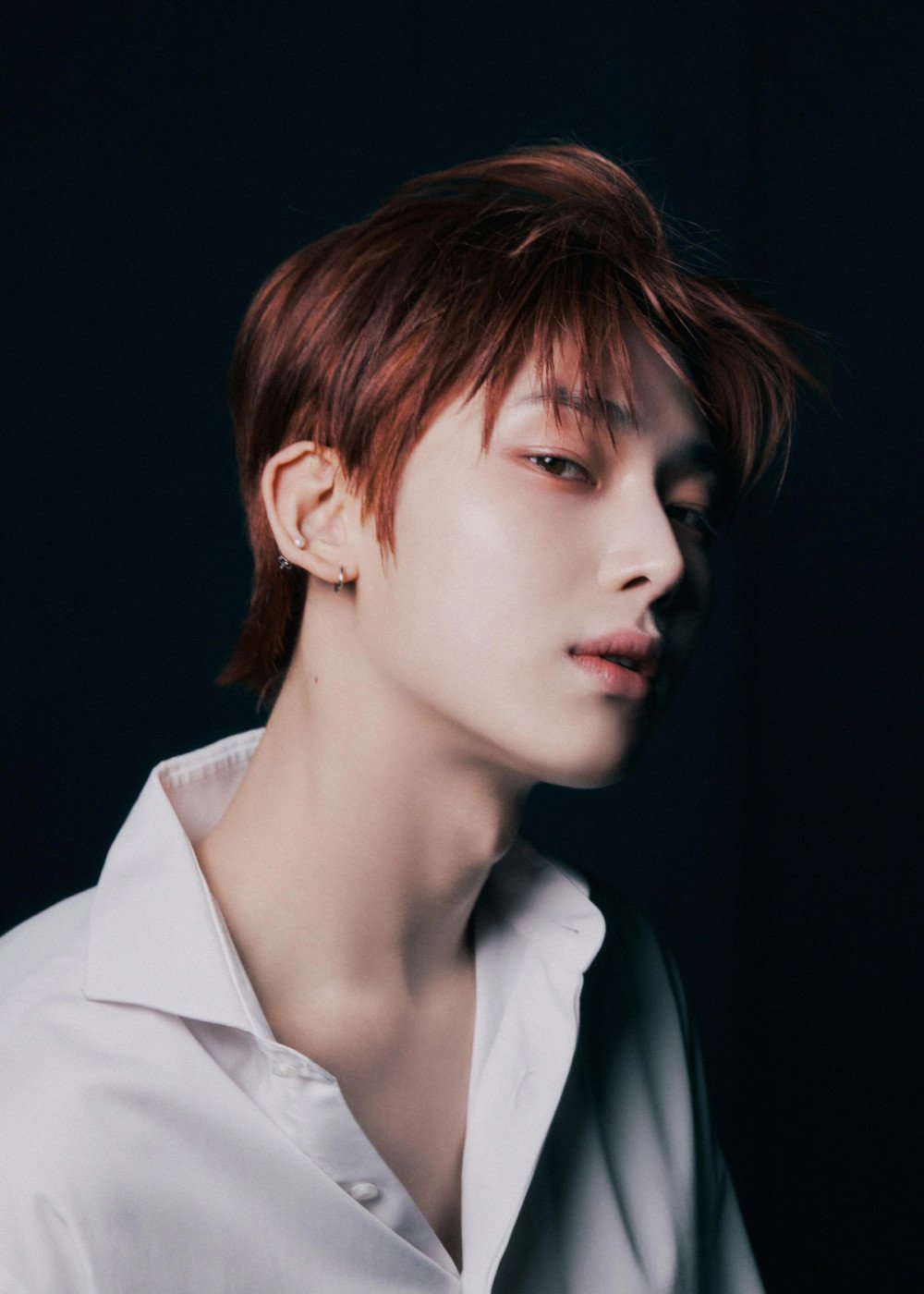 Dark Blood' concept photo