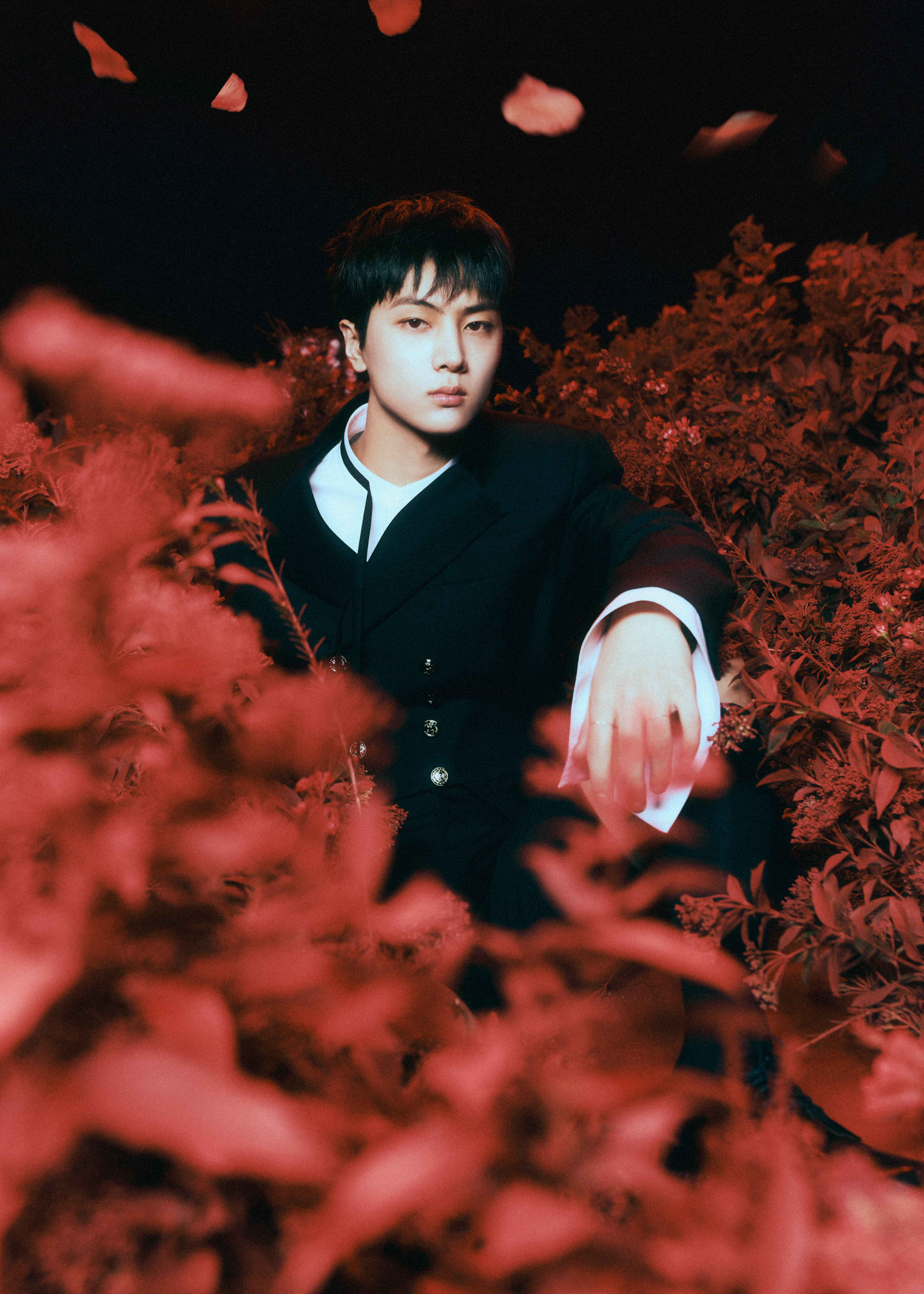 ENHYPEN Dark Blood Concept Teaser