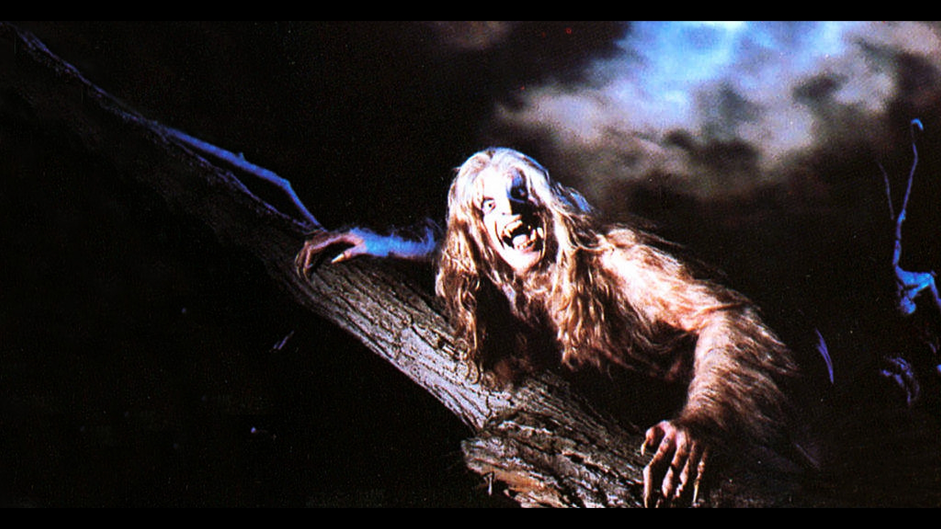 Music Ozzy Osbourne HD Wallpaper