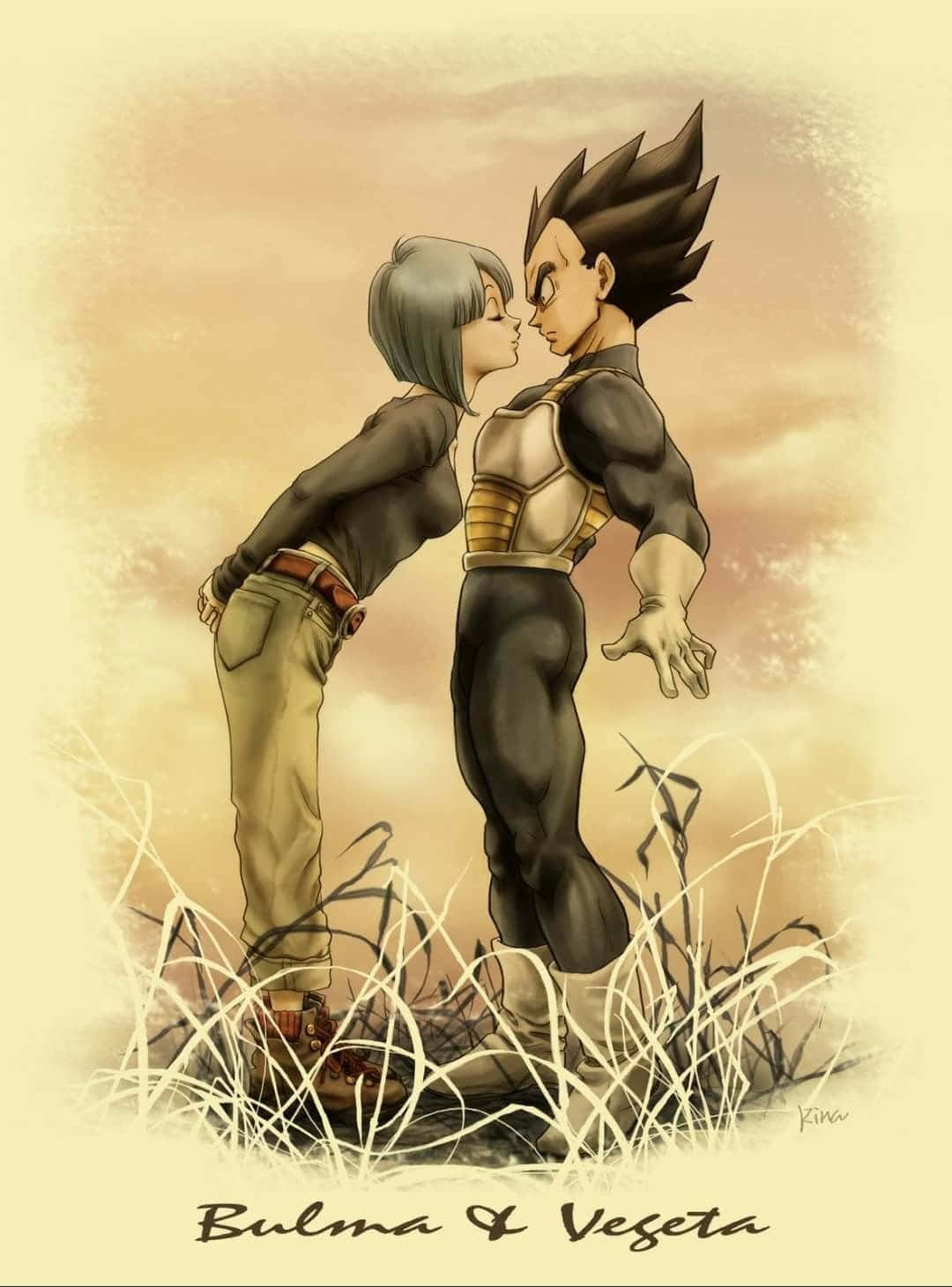 Download Immortal love of Vegeta and Bulma Wallpaper