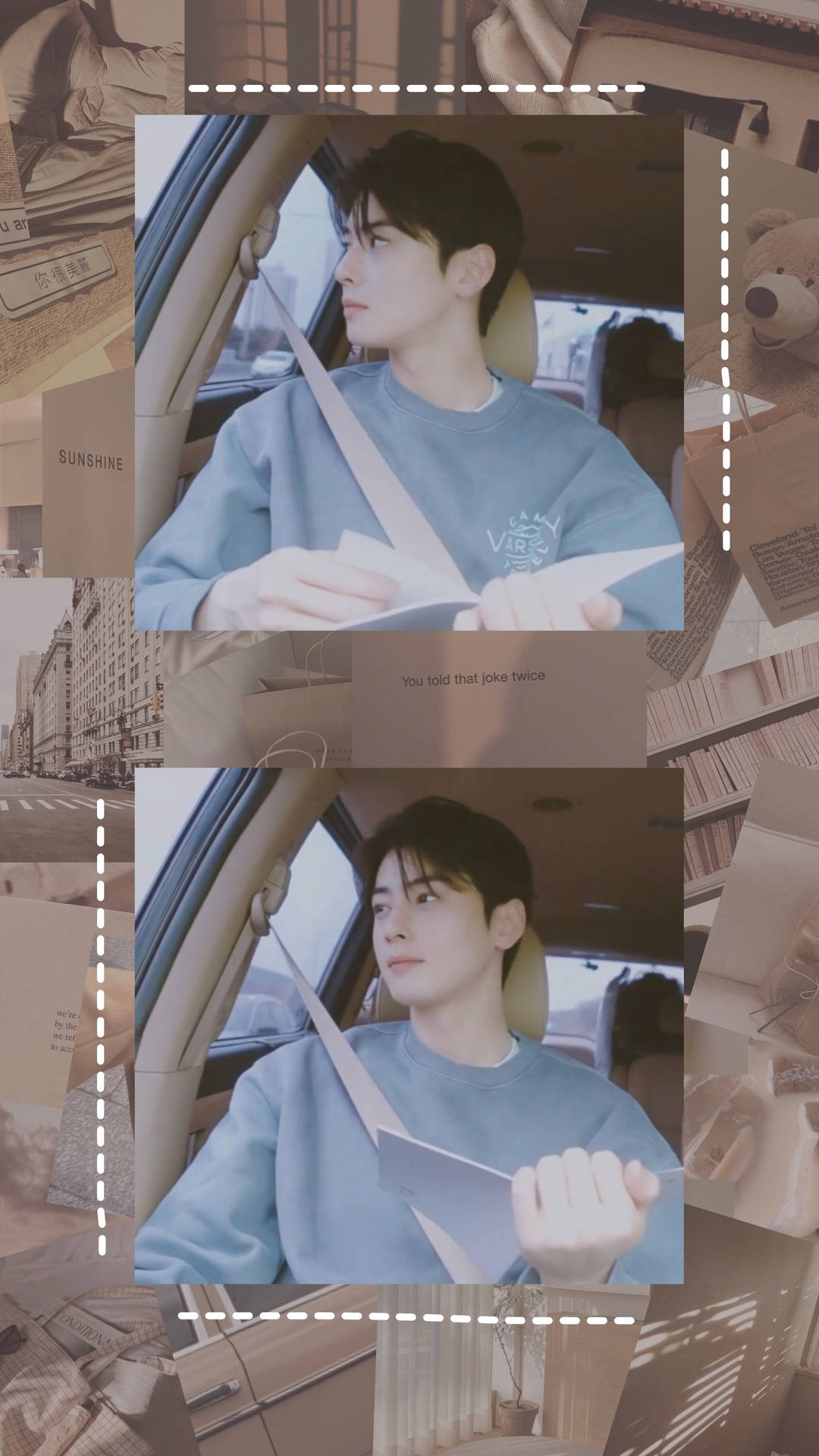Download Cha Eun Woo Aesthetic Fan Edit
