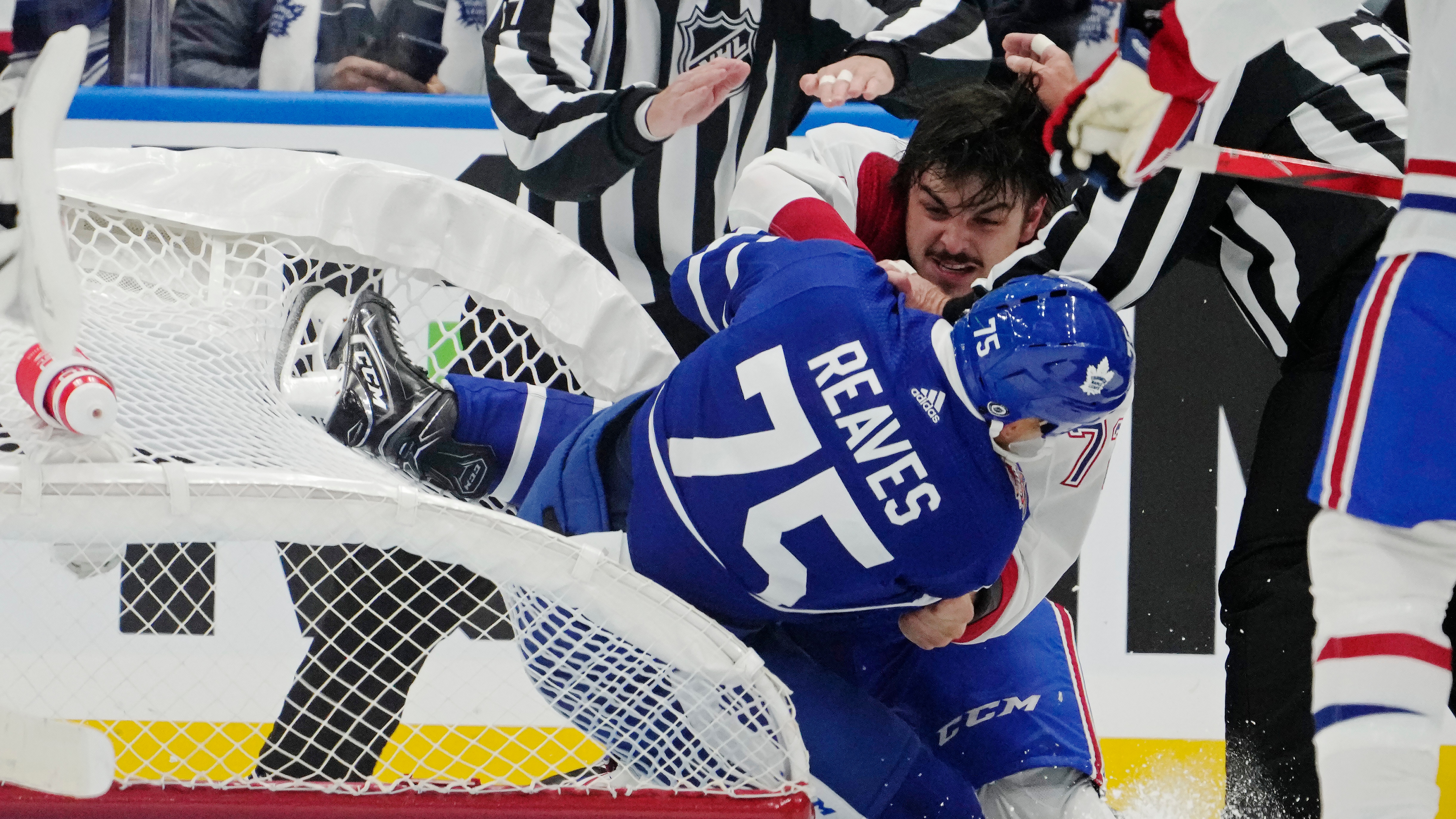 Ryan Reaves eyes rematch with Arber