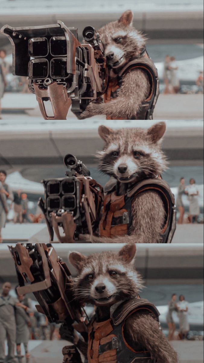 rocket raccoon wallpaper // lockscreen