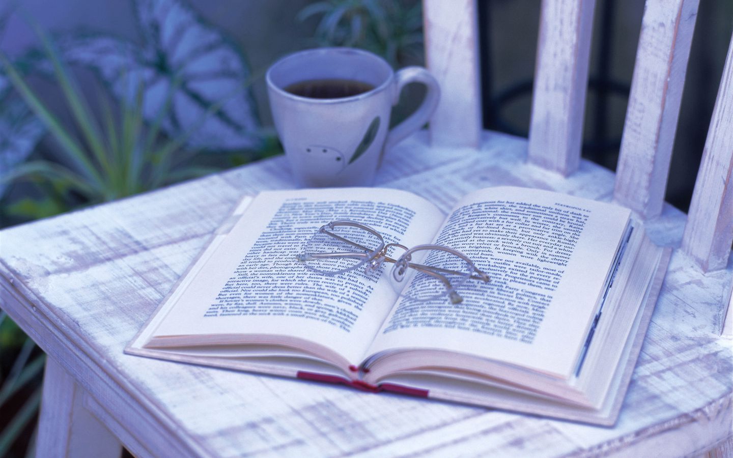 Download wallpaper 1440x900 book