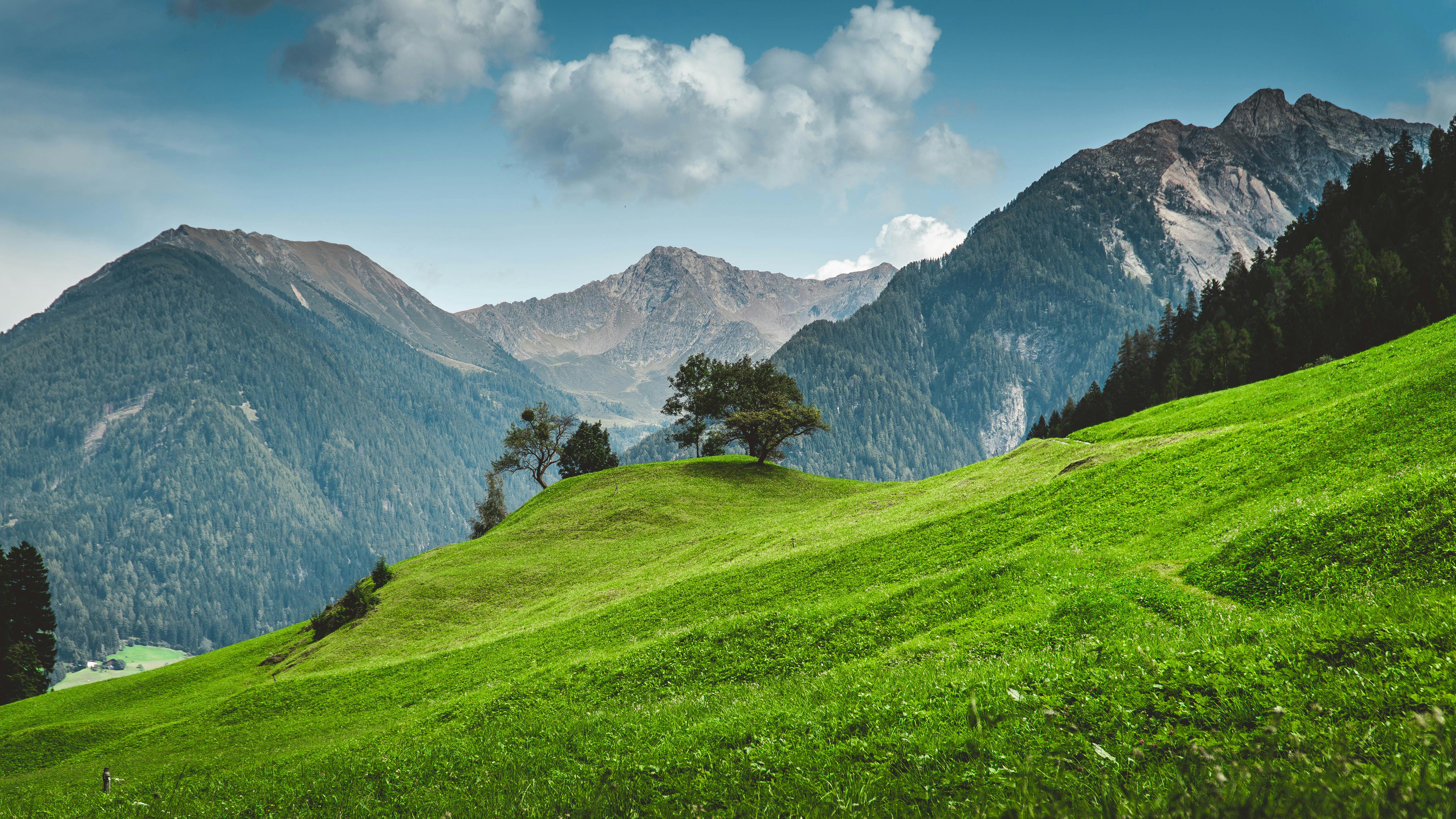 Mountains in Summer · Free