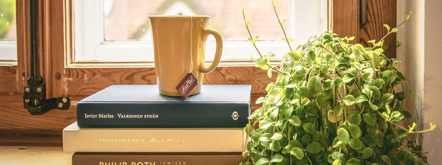 Big Bend Village Library