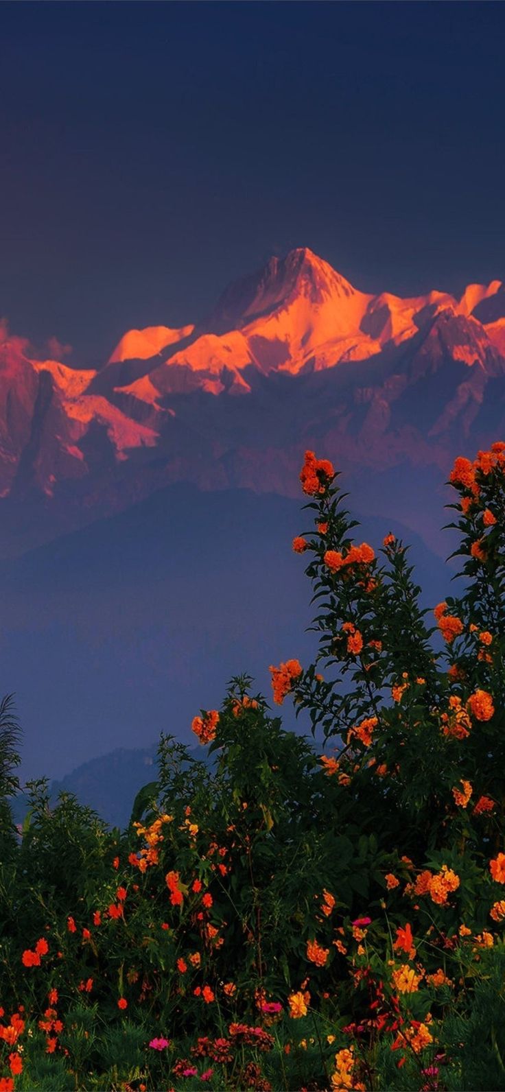 Himalayas Mountains Nepal Region