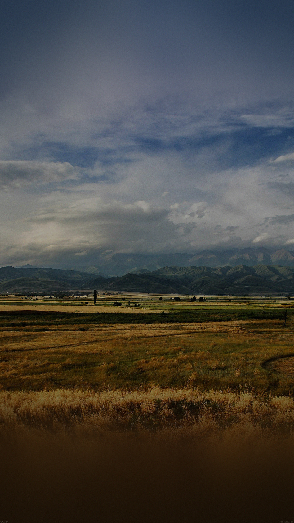 Mountain Field Fall Authum Nature