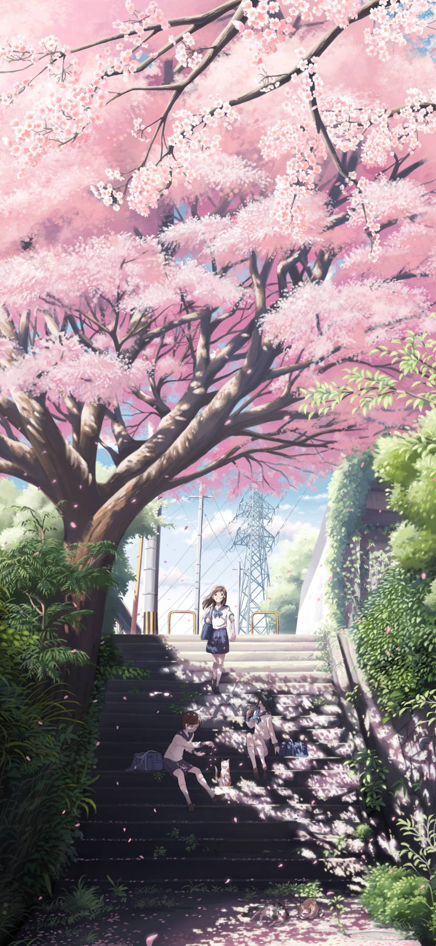 Japanese Aesthetic iPhone Wallpaper