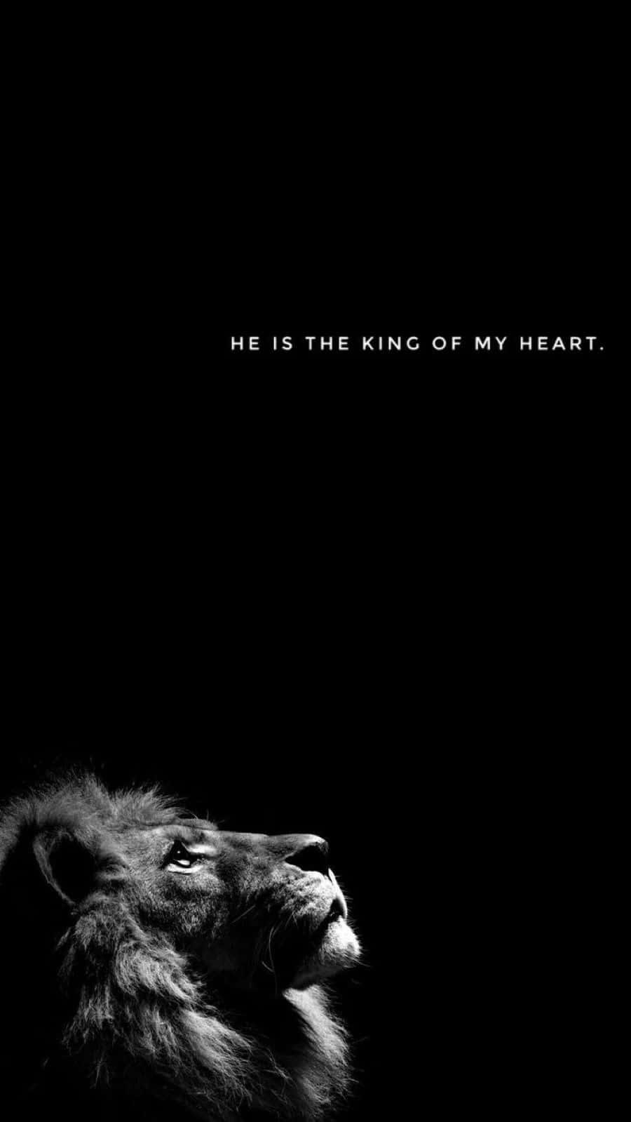 Majestic Black Lion Wallpaper