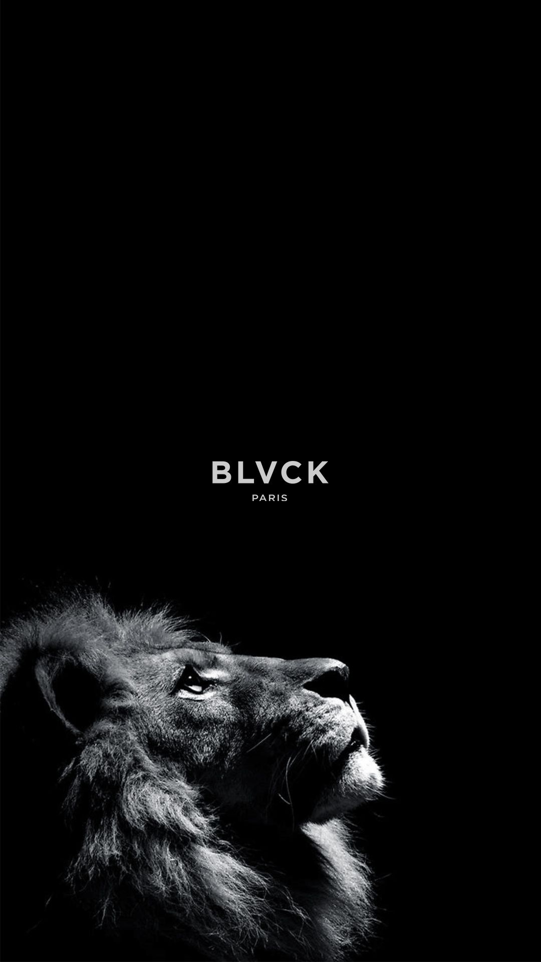 Black Lion Wallpaper. Lion wallpaper