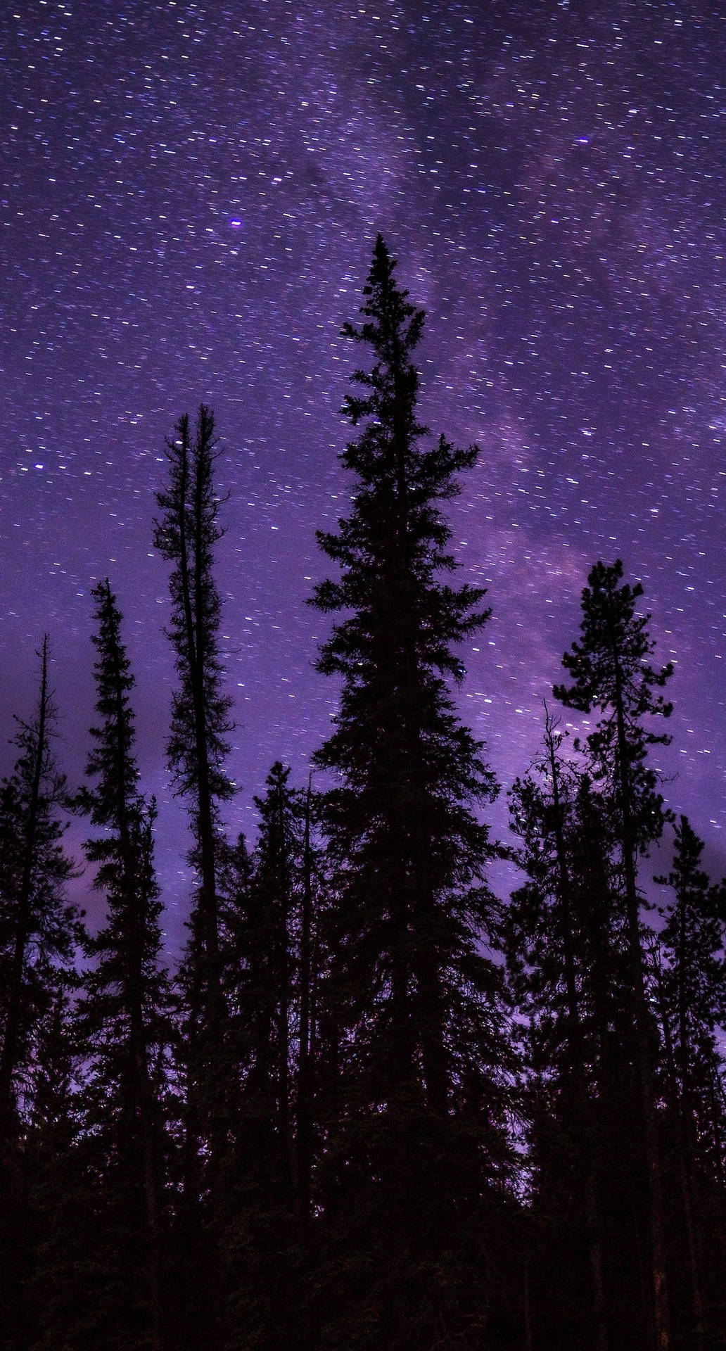 Download Purple Sky Galaxy And Trees