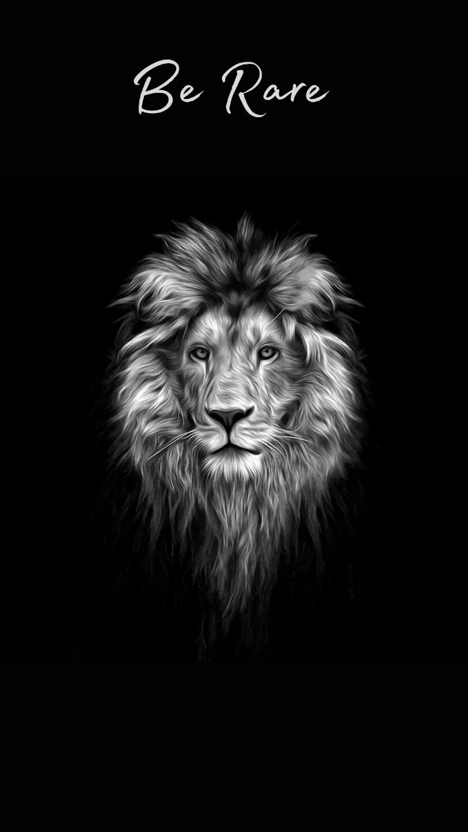 Illustration Lion Head Phone Wallpaper