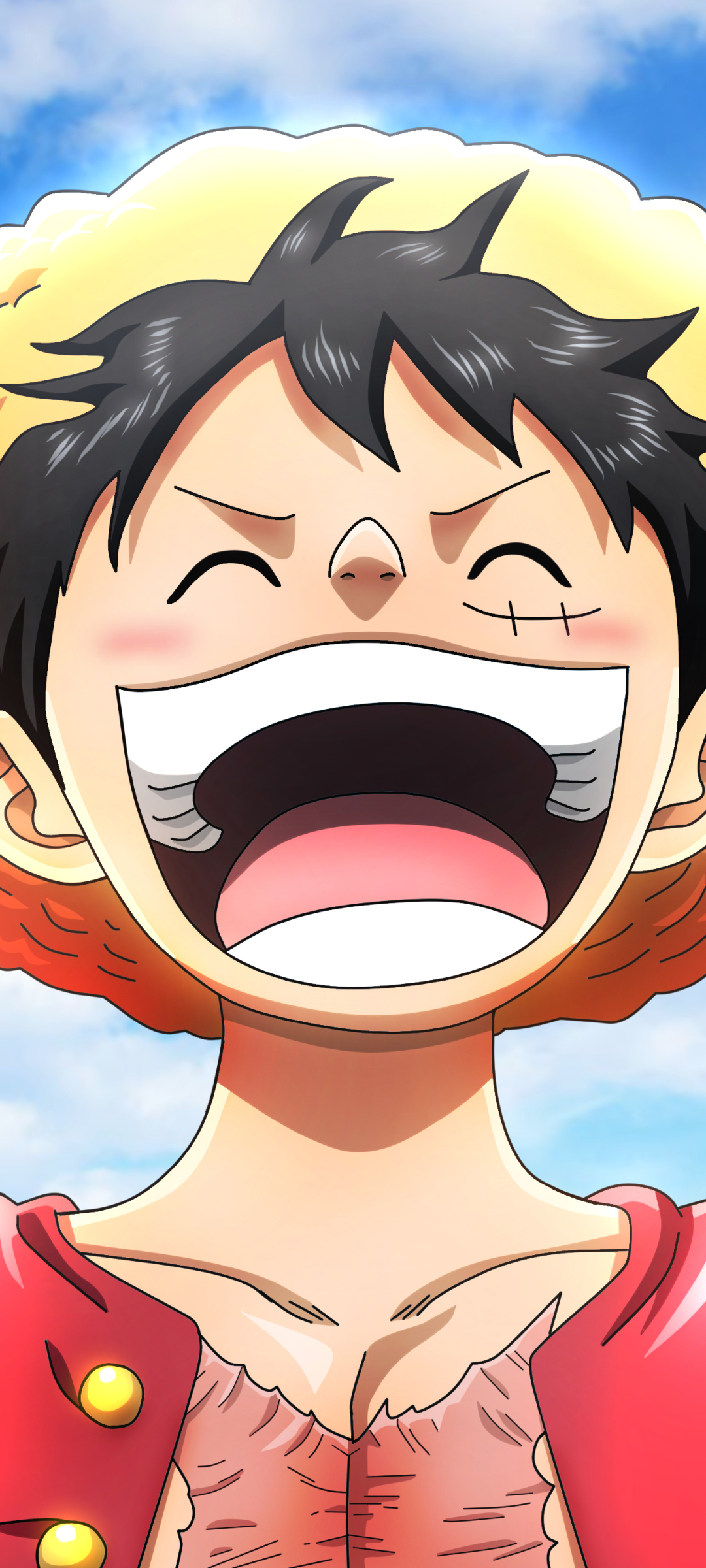 Download Monkey D. Luffy Anime One