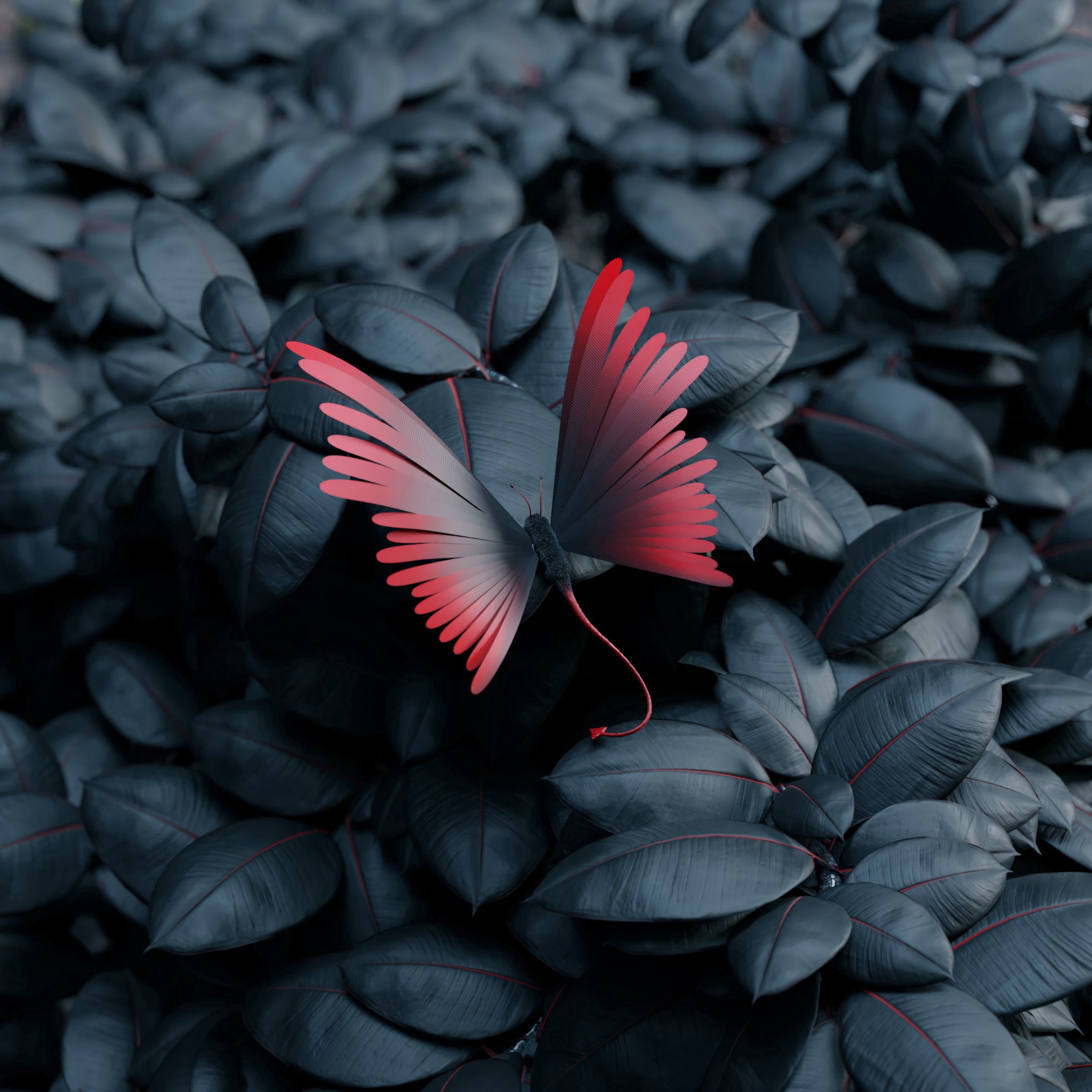 3D Butterfly Wallpaper with Vibrant