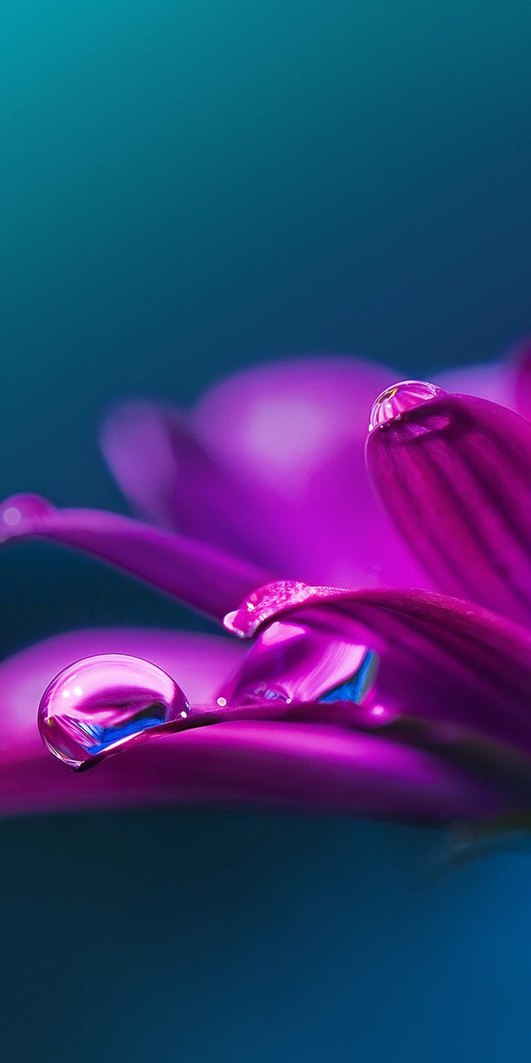 Download LG Stylo 5 Wallpaper Full