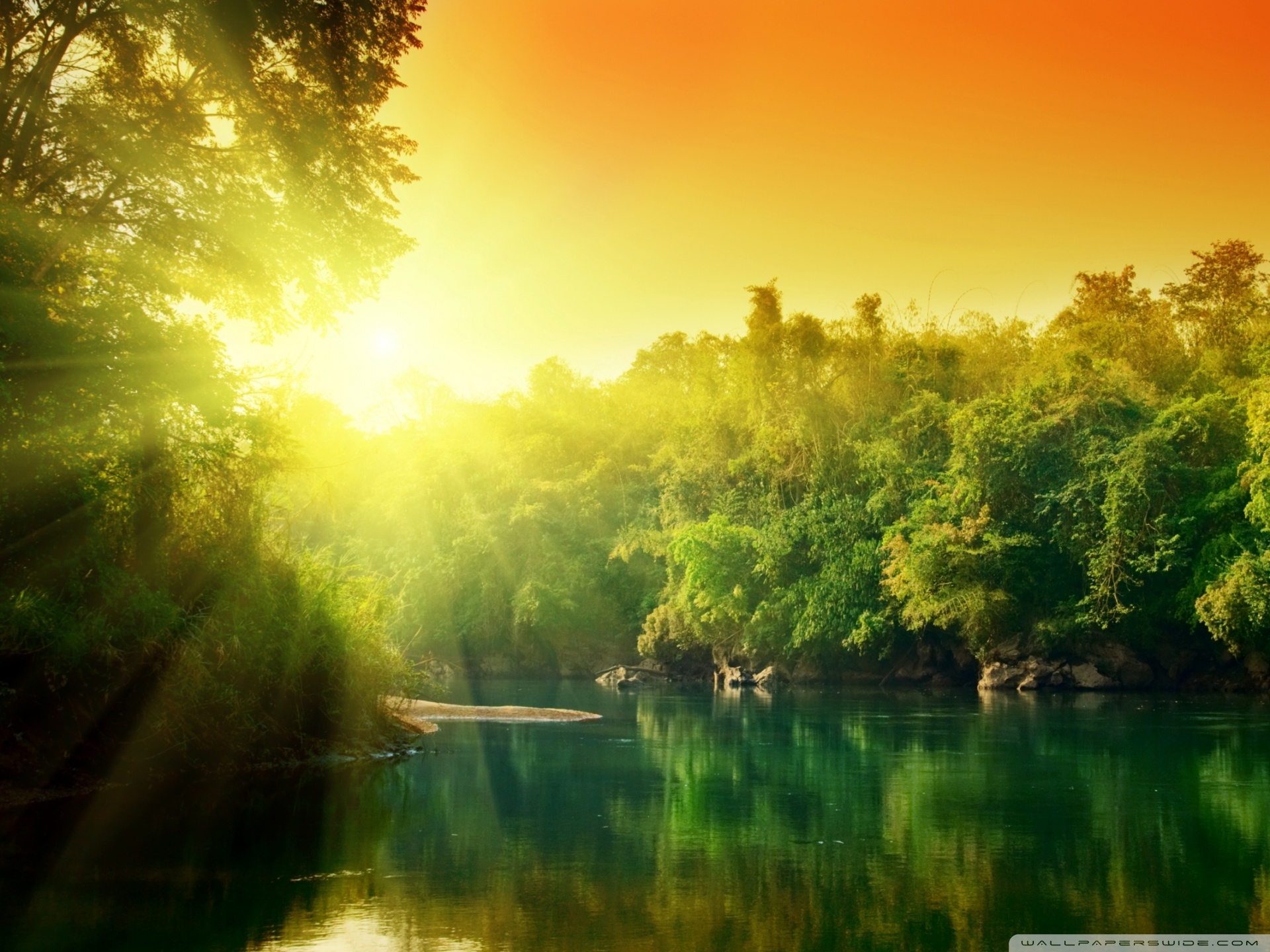 Lush Green Forest River At Sunrise