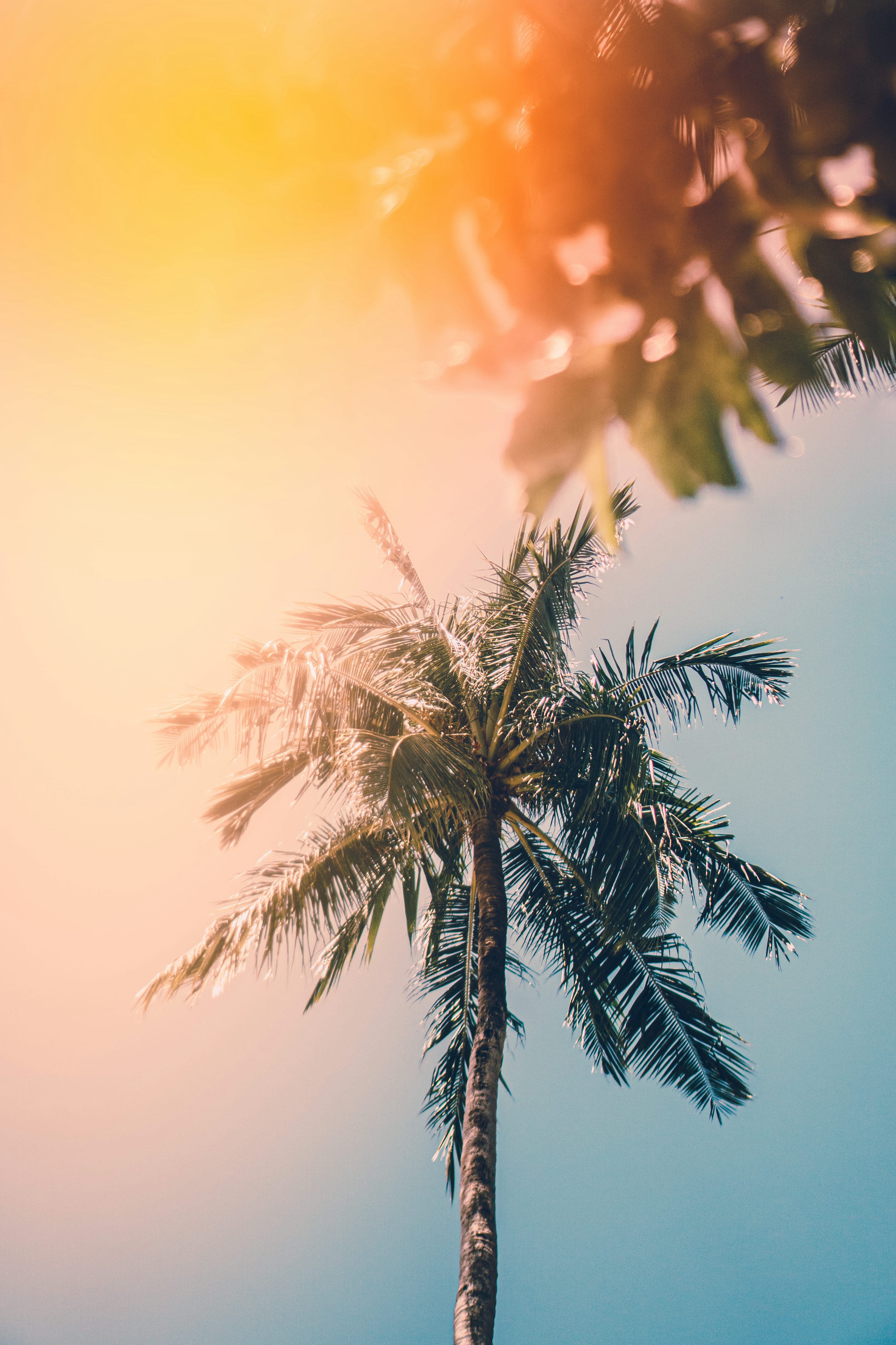Summer Wallpaper: Free HD Download
