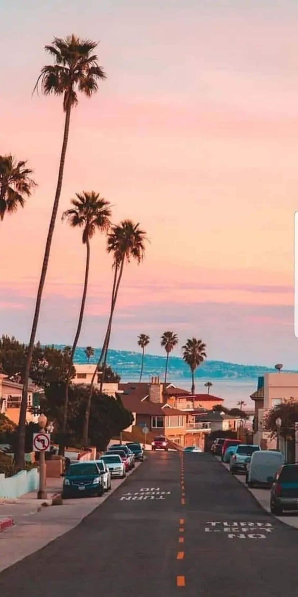 Summer Background