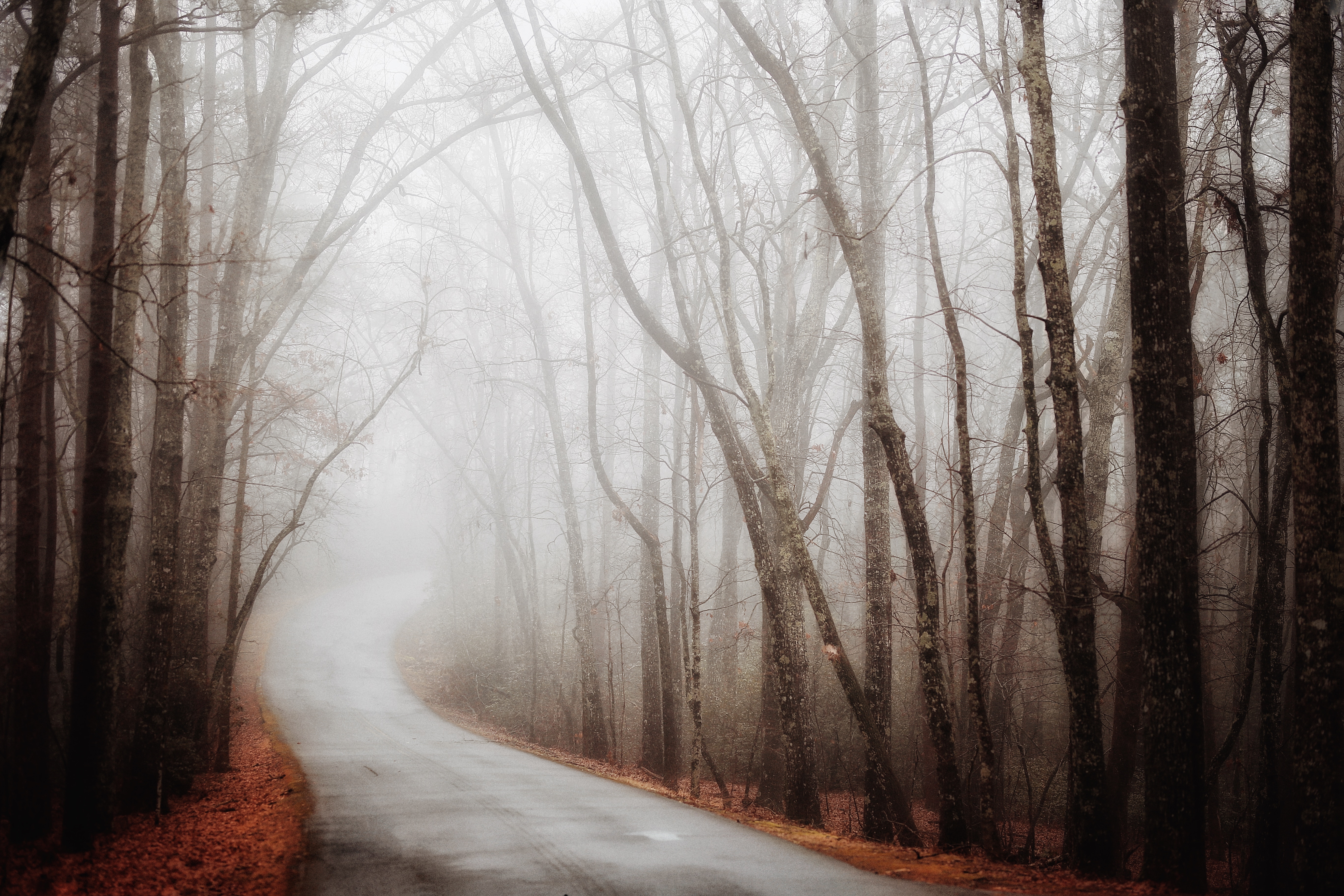 HD desktop wallpaper: Fog, Road, Nature