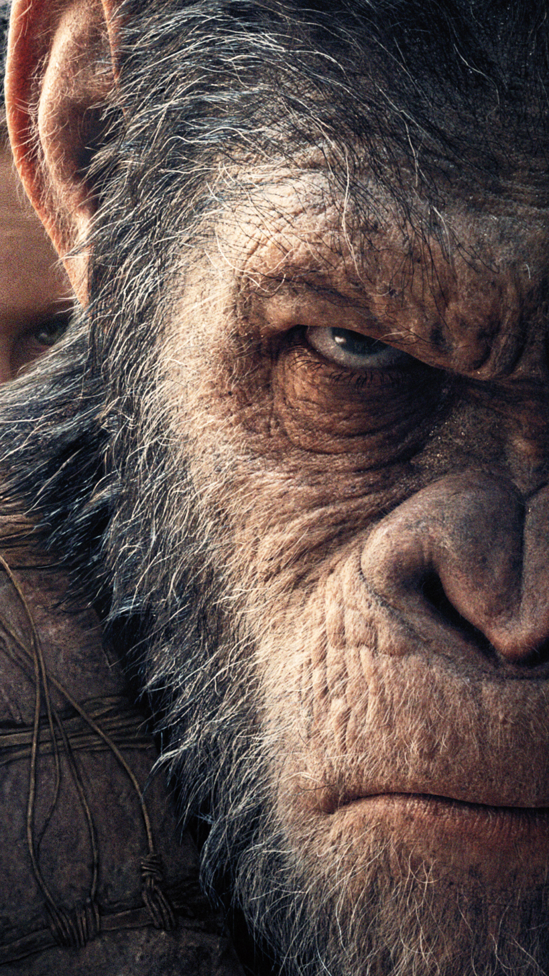 Nova (Planet Of The Apes) Phone Wallpaper: Free 4K & HD Downloads