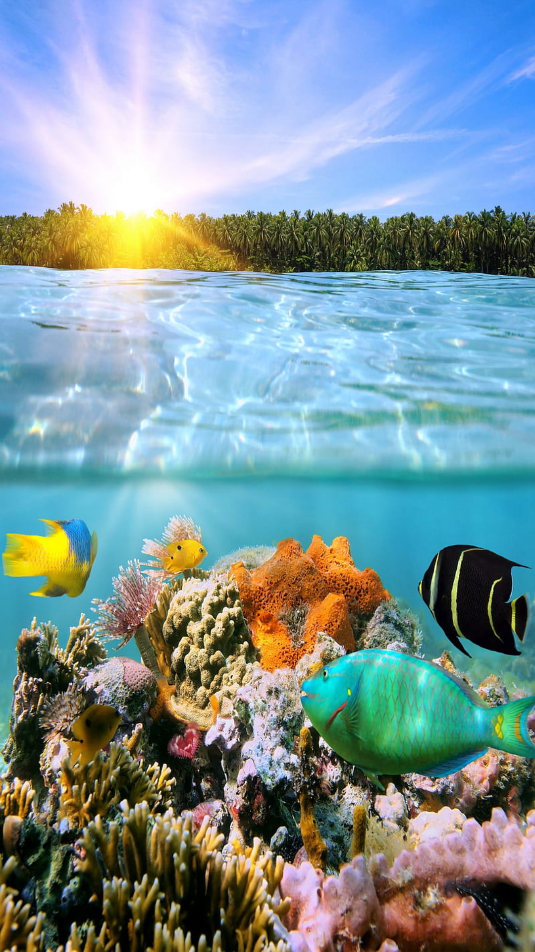 The Great Barrier Reef Wallpaper
