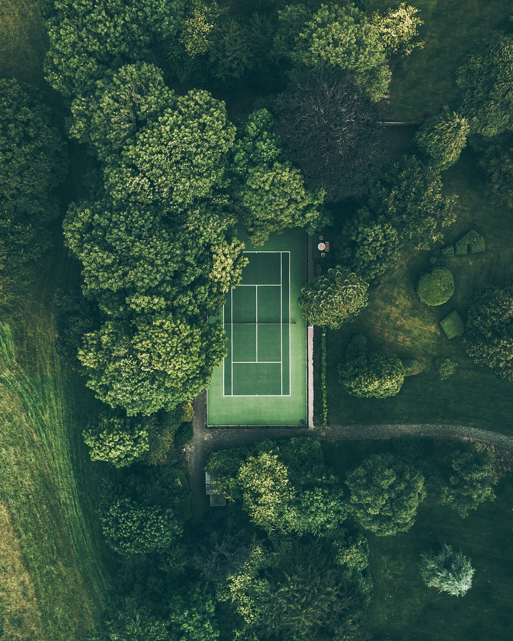 Tennis Court Background Picture